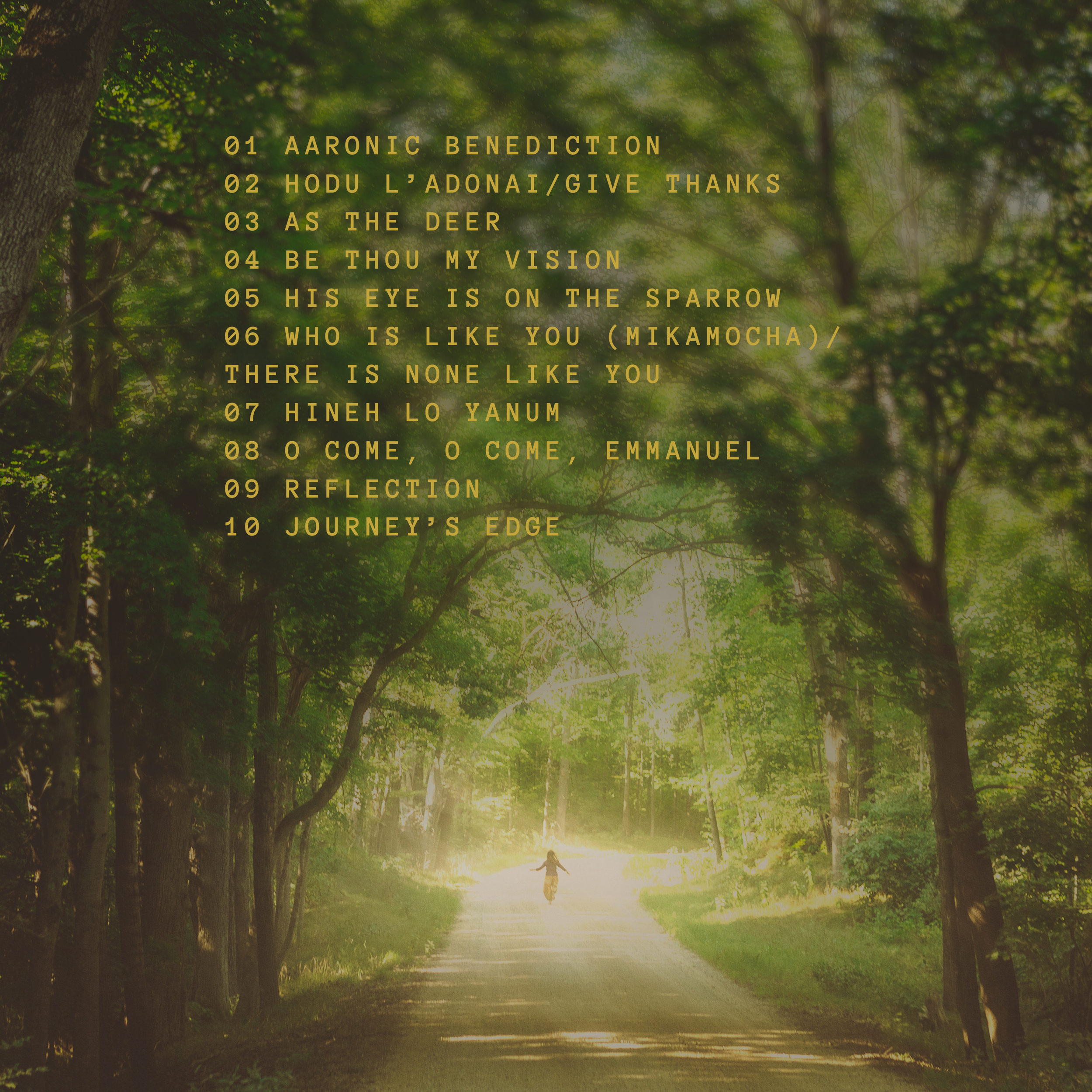 album artwork for streaming (in progress)(1).png