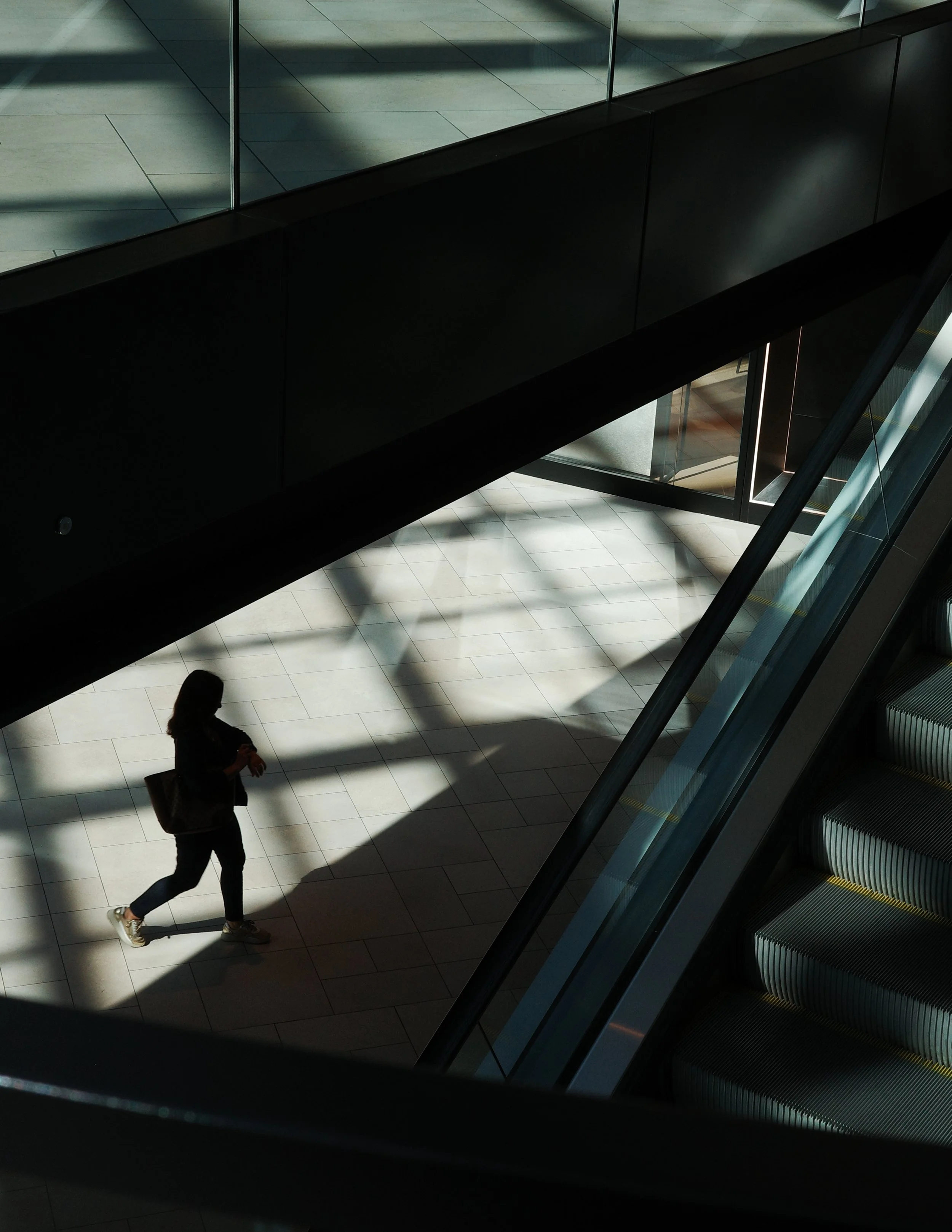 Shadows of RoyalMount.jpg