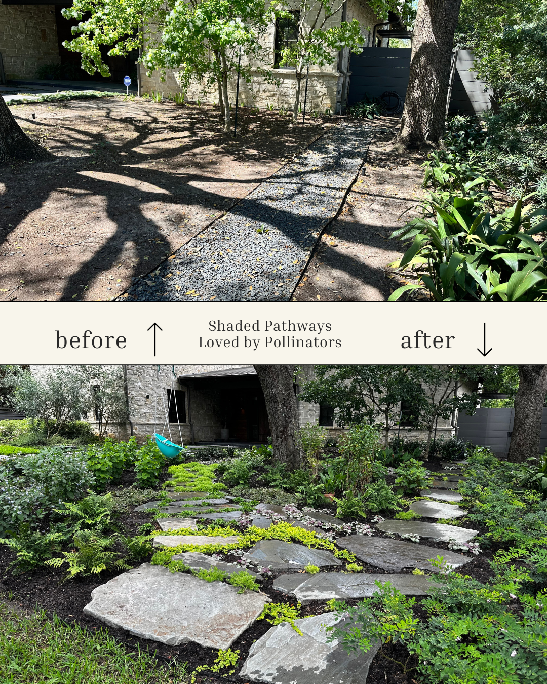 Shaded Pathways Loved by Pollinators.png