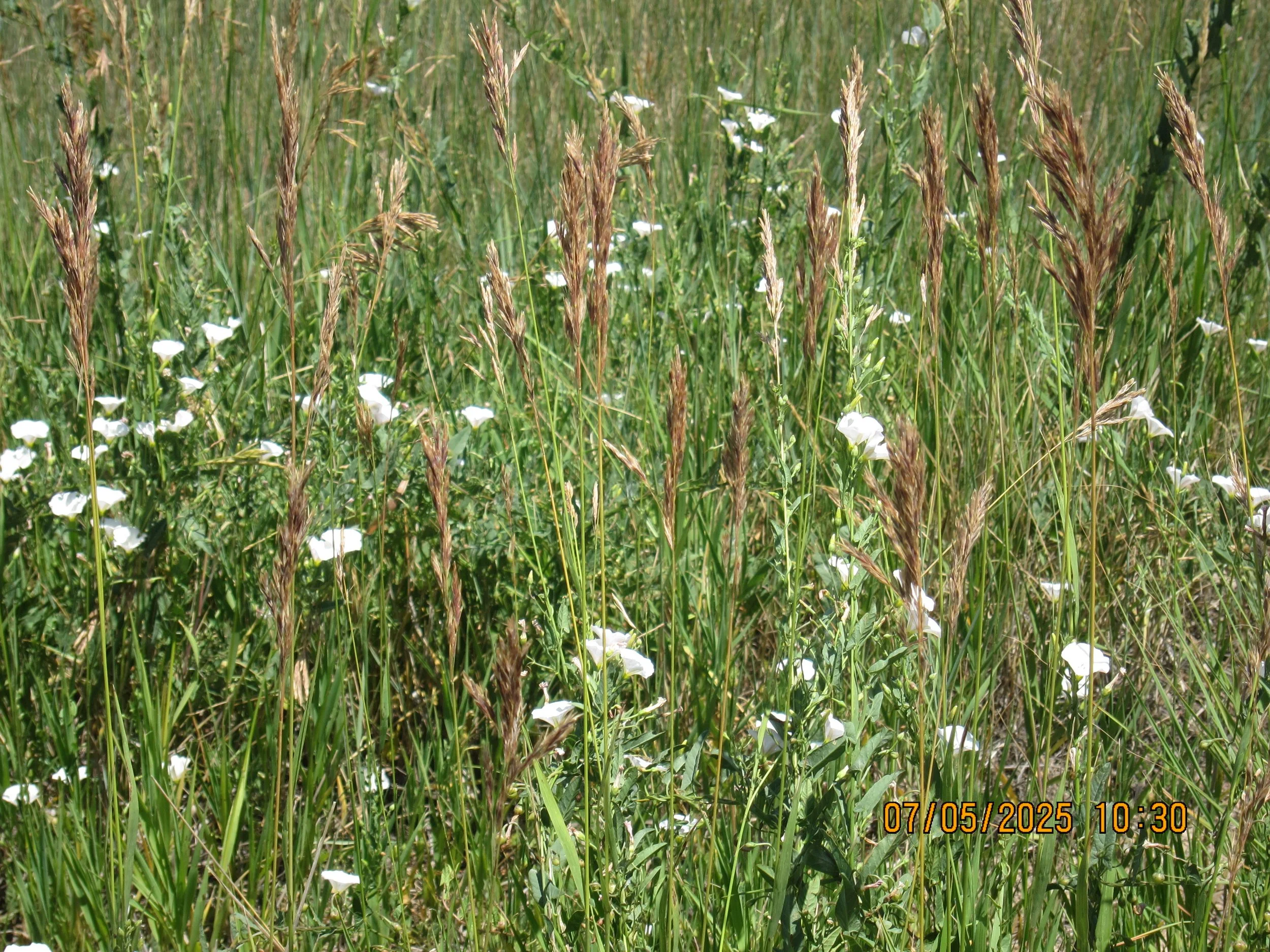 coming soon... poems : words & pictures