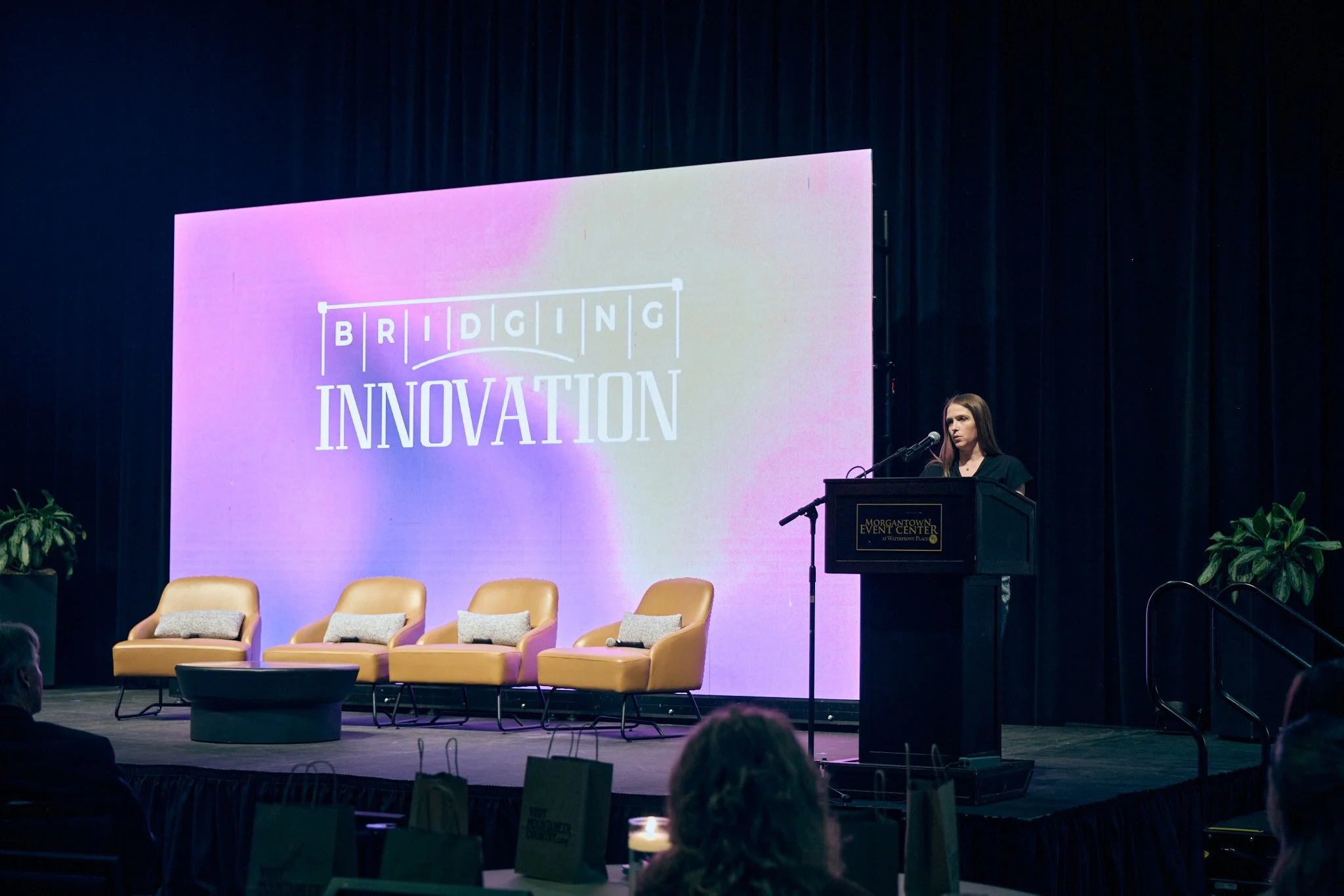 BridgingInnovation_0704.jpg