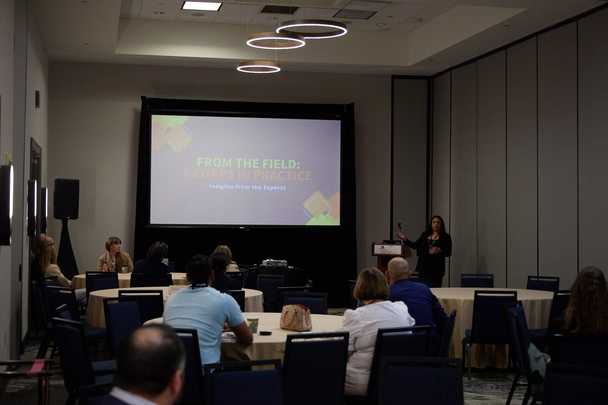 BridgingInnovation_0951.jpg