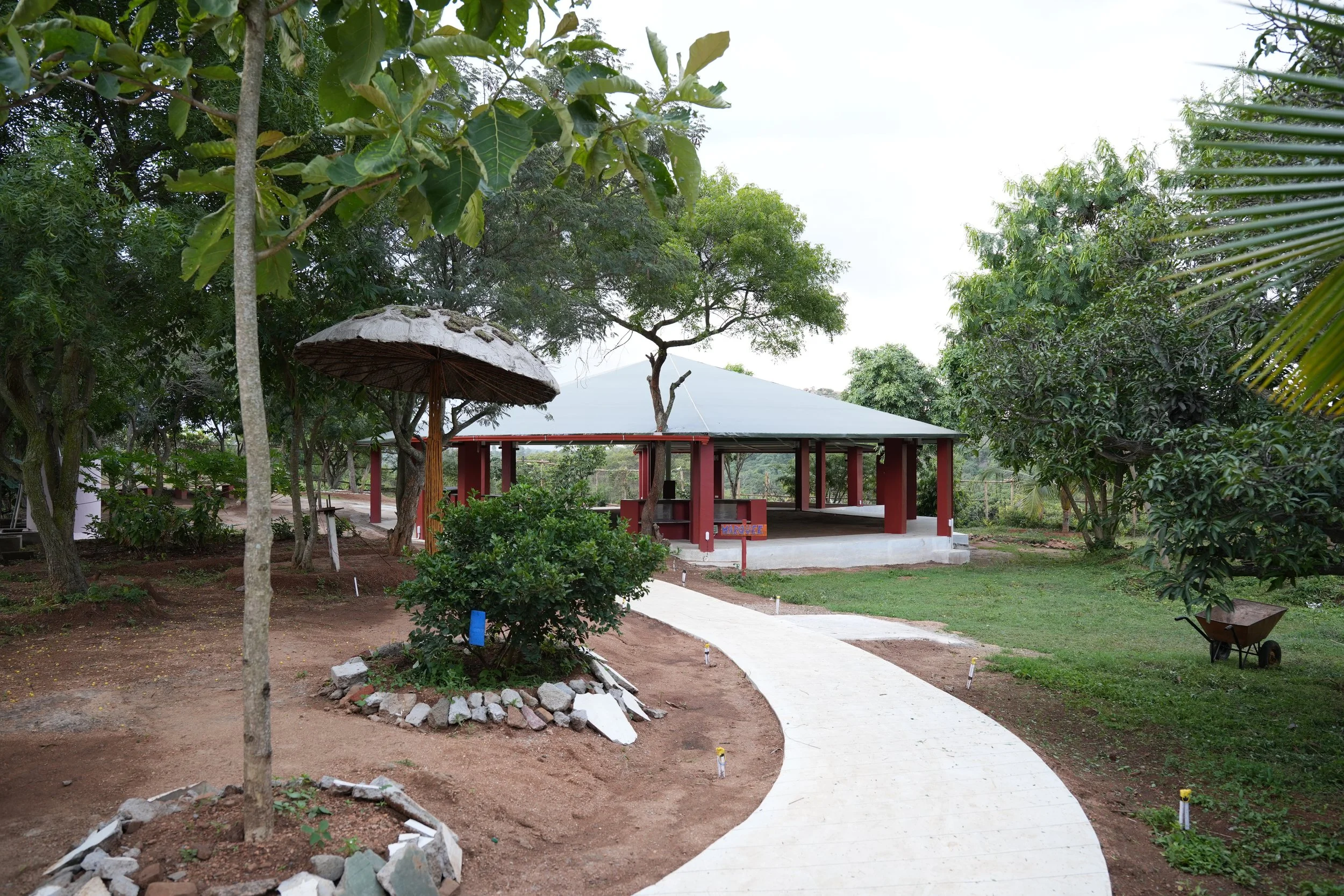 Marquee and Mushroom.JPG