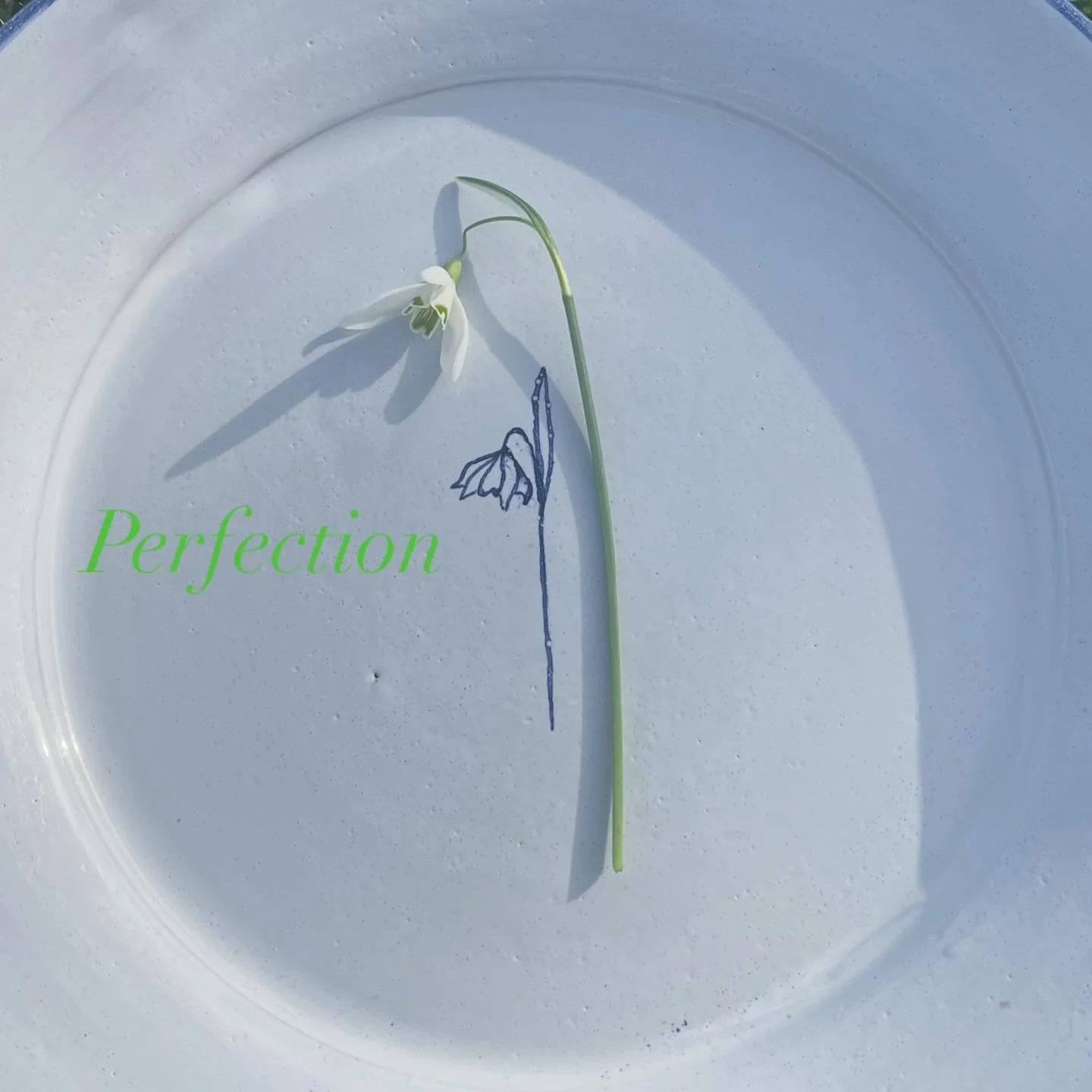 The small burst of sunshine today brings hope of spring and less mud. Here's to being positive that everything is about to burst into life.  Our plates come in all of our hand painted designs . They make presenting and eating food even more of a spri