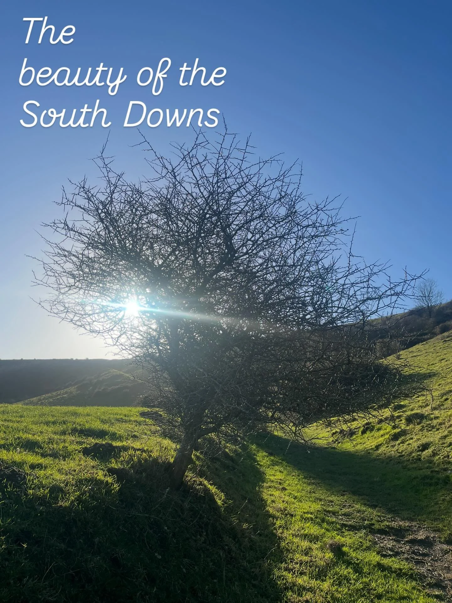 A long January walk this morning together on the South Downs to blow away the over indulgence of the Christmas season. We hope everyone has had a restful time off and is ready like us to get back to the studio with a bang. We have so many new excitin