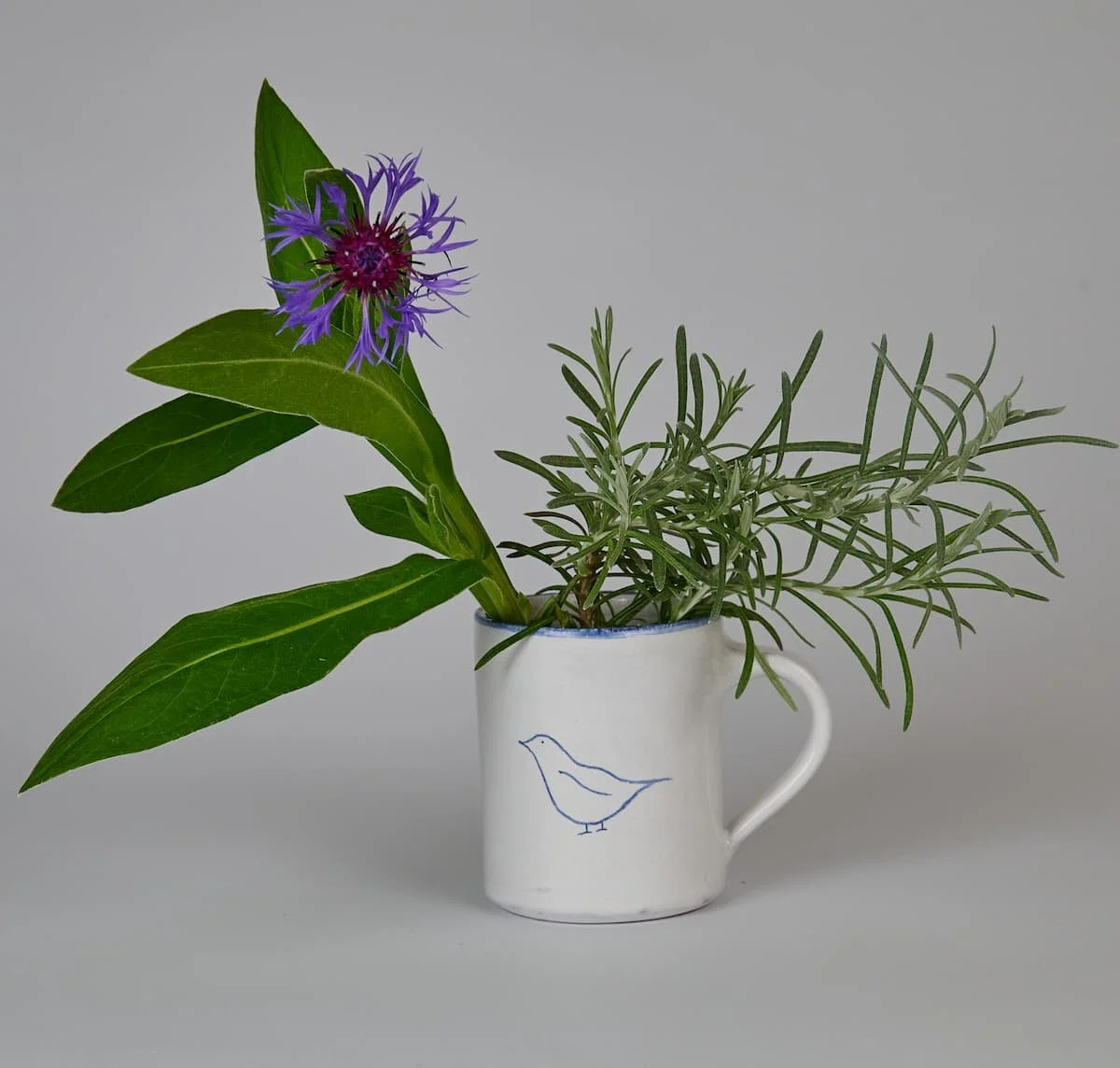 coffee-mug-bird-3.jpg