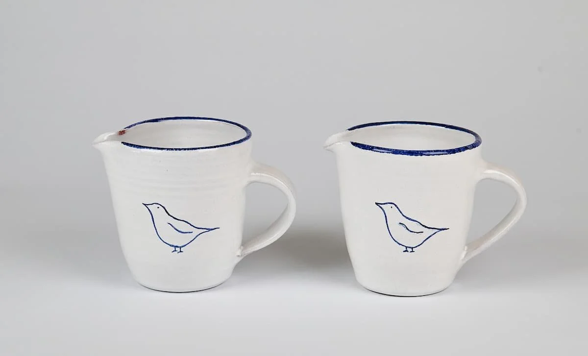 blue-bird-family.jpg