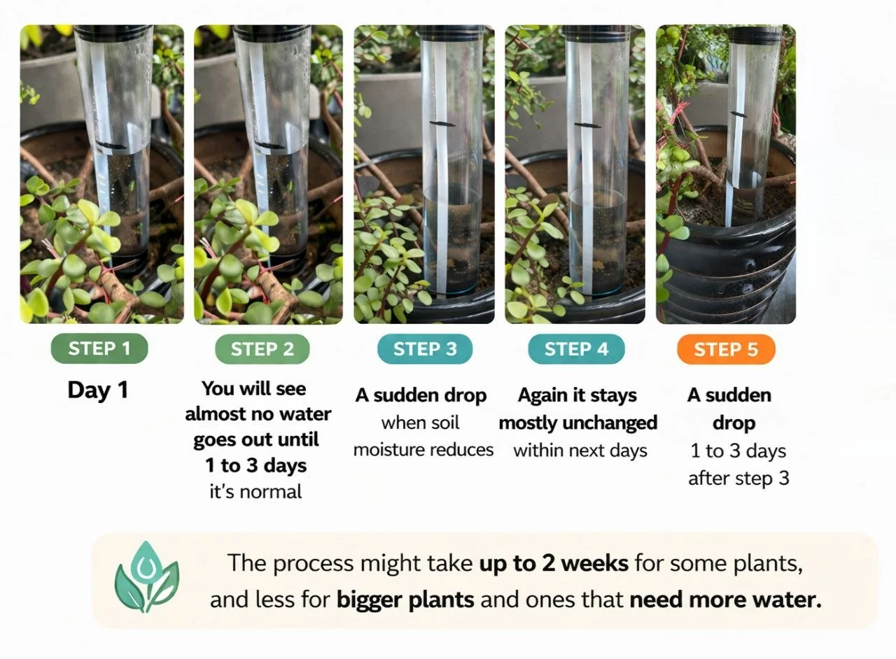 A five-step guide on watering plants using a transparent measurement tube placed inside a black pot with green plants around. Step 1 shows initial water level; Step 2 notes almost no water after one day; Step 3 shows a sudden drop in water level as soil moisture reduces; Step 4 indicates the water stays mostly unchanged for the next days; Step 5 shows a second sudden drop after 1-3 days. Additional note explains the process may take up to 2 weeks for some plants or more water for bigger plants.