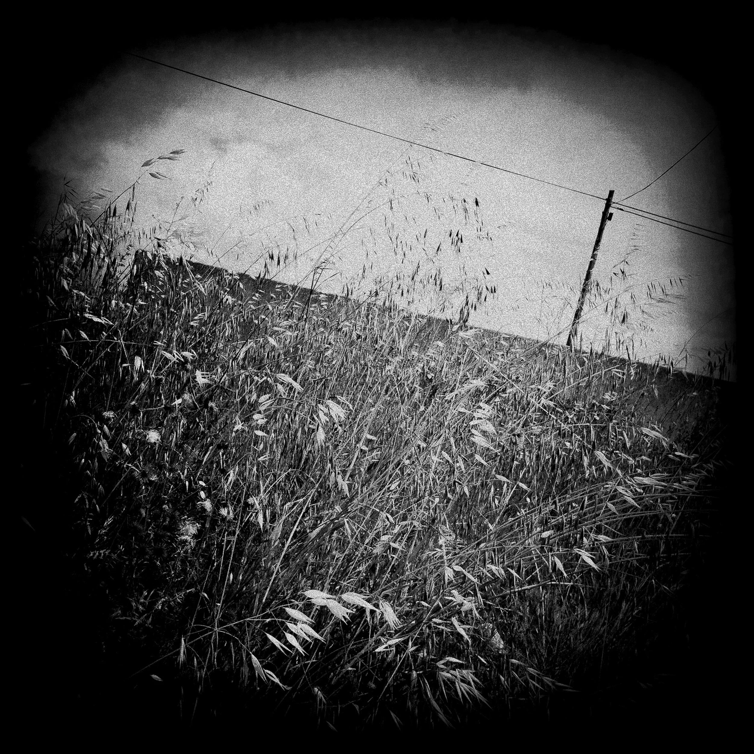 Mario-Pires_Bleak-City-19.jpg