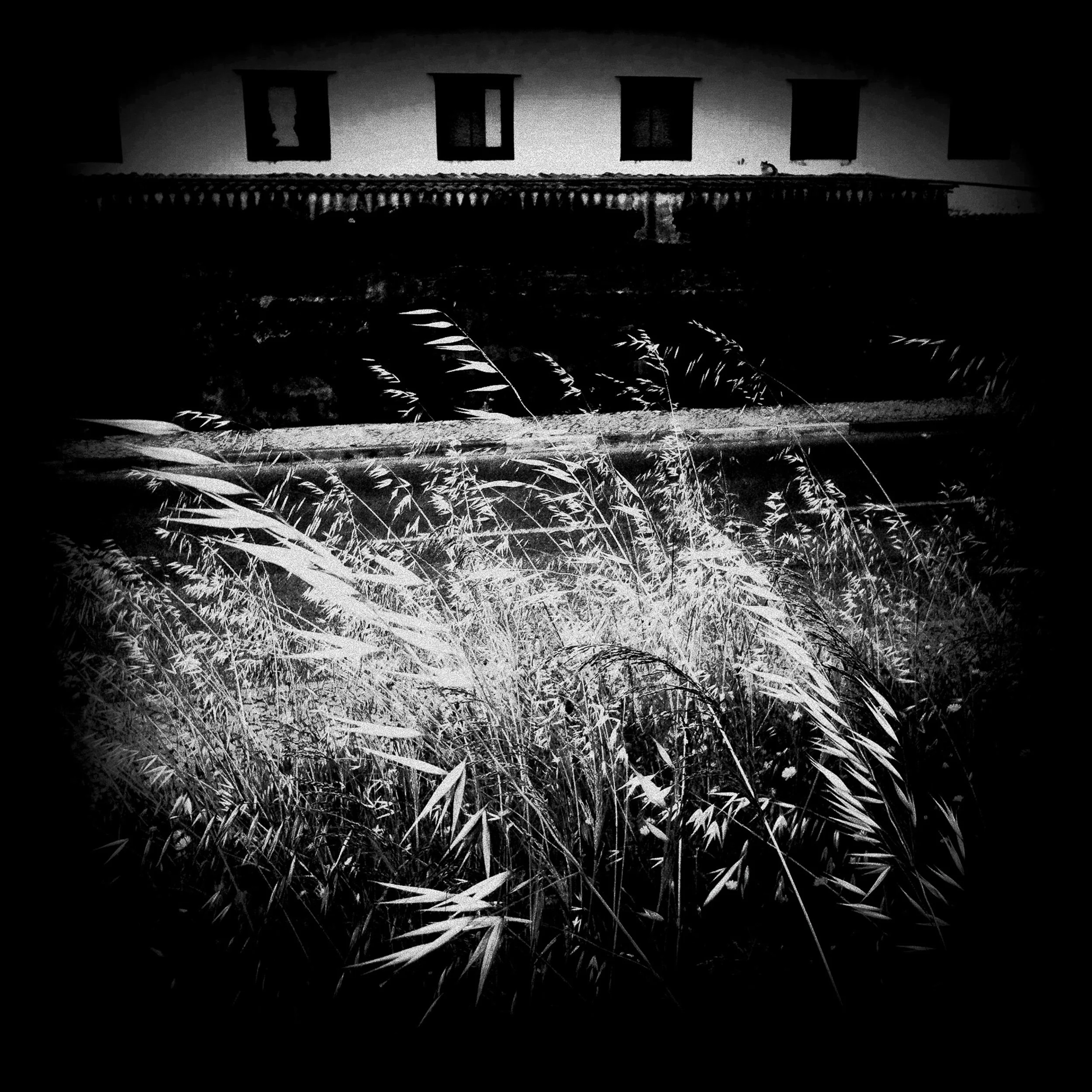 Mario-Pires_Bleak-City-20.jpg