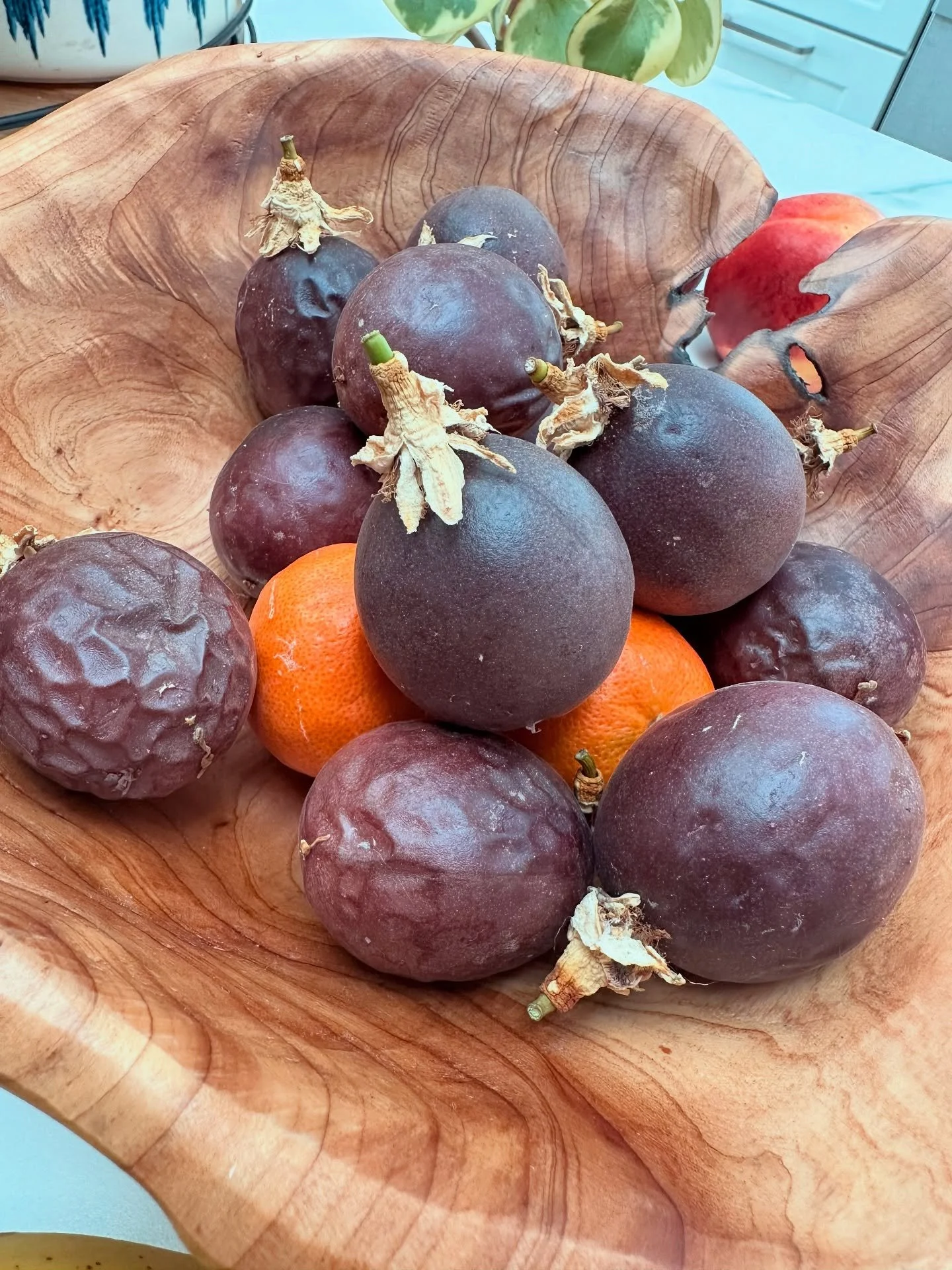 Highlights from the long weekend:
- passion fruit from MIL&rsquo;s garden 
- made a coconut pudding Melo Melo recipe (on my 2nd try 😜)
- swim day for the kids at my brother&rsquo;s
- Sydney&rsquo;s cupcakes 
- sauna box - this is now in the middle o