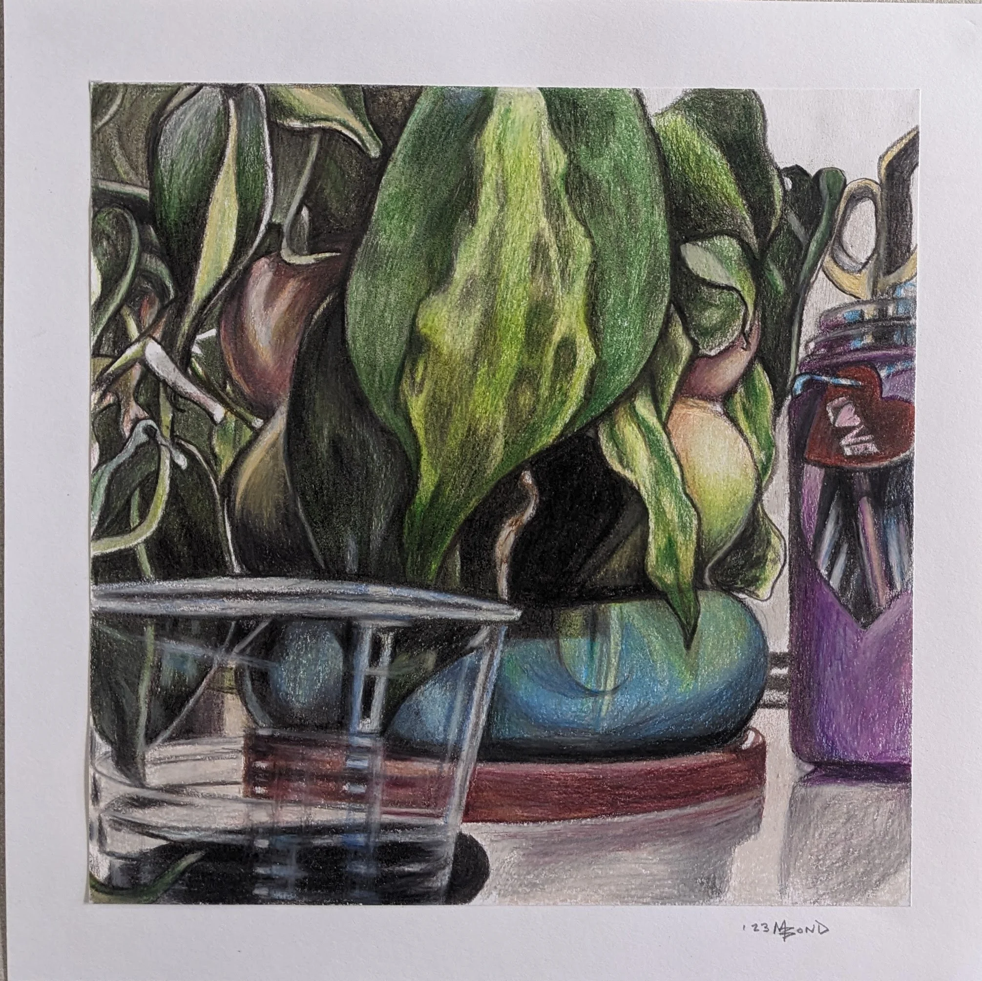 Colored Pencil on Bristol, 2023