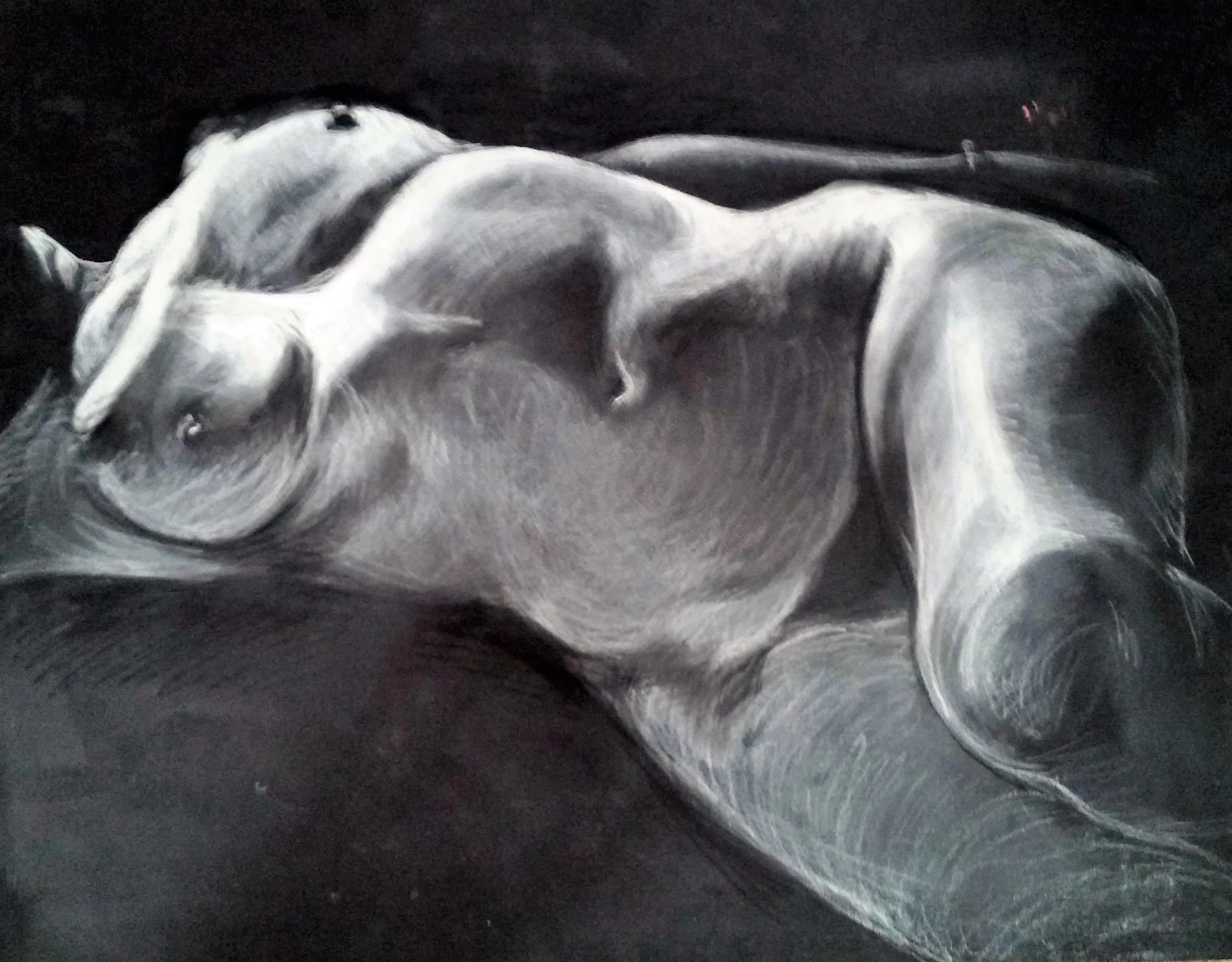 reclining nude_conte.jpg