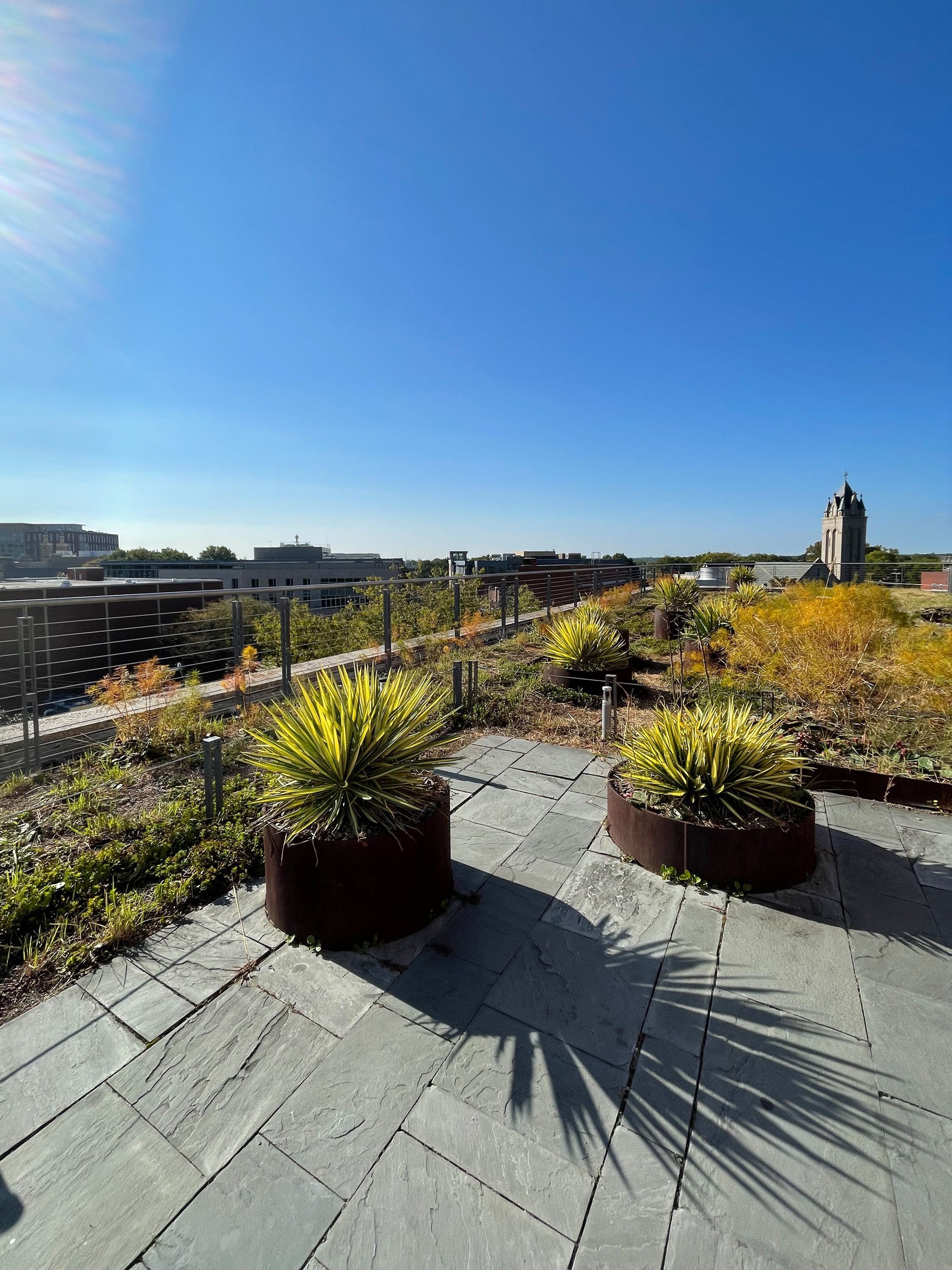 pic13.jpg
