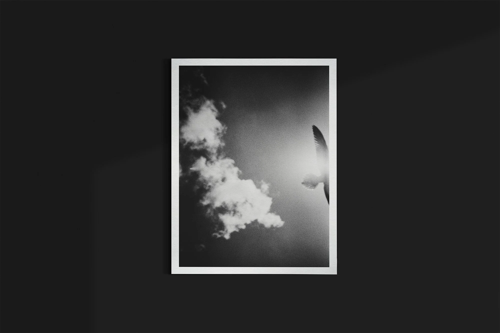 Postcard Mock-Up-1.jpg