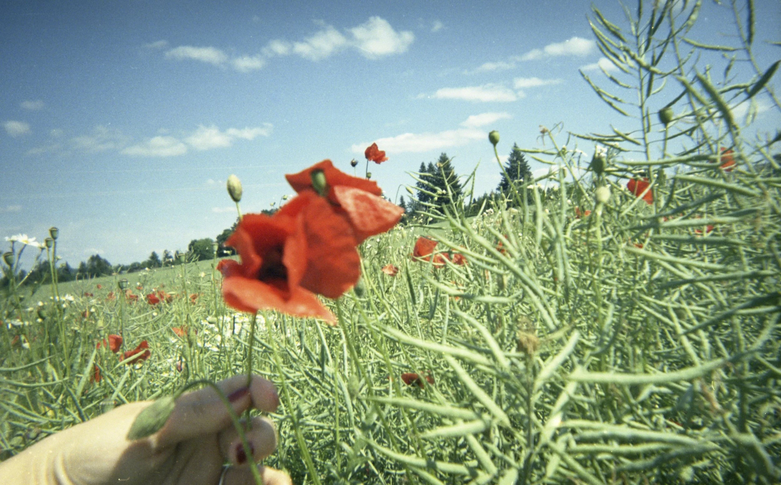 What does happiness mean? What is the emblem of ultimate freedom? Can we even describe it in words or perhaps through photography? Linda Zhengová has been transgressing geographical borders in search of happiness, yet walking the thin line between sa