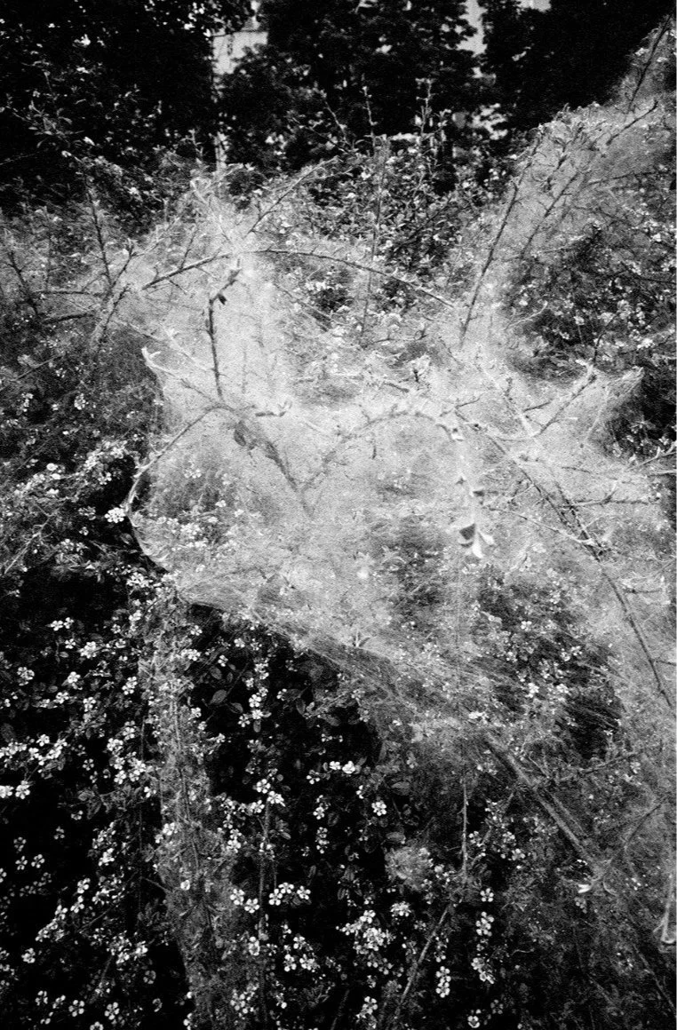 The gallery presents the work of Václav Tvarůžka, curated by Lucie Černá for Fresh Eyes 2026. Tvarůžka uses a flawless visual form to rawly record personal spaces and everyday surrounding situations. The selection plays with the viewer's subconscious