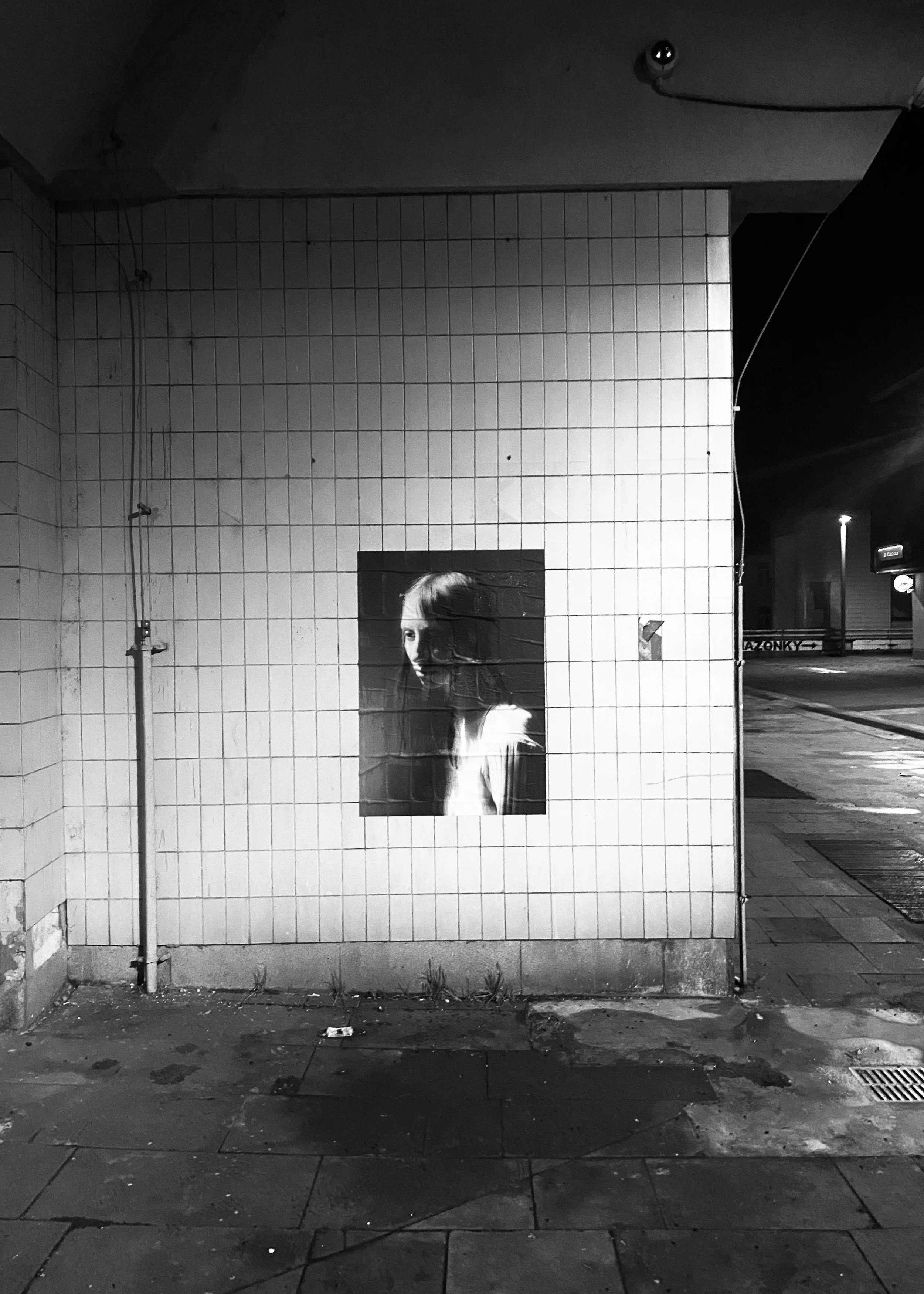 The exhibition “surreal” presents the photographs of four authors - Libuše Jarcovjáková, Václav Tvarůžka, Karina Golisová, Jakub Pavlík. The curatorial concept by Lucie Černá is inspired by night wanderings through a countryside, a forest, or an empt