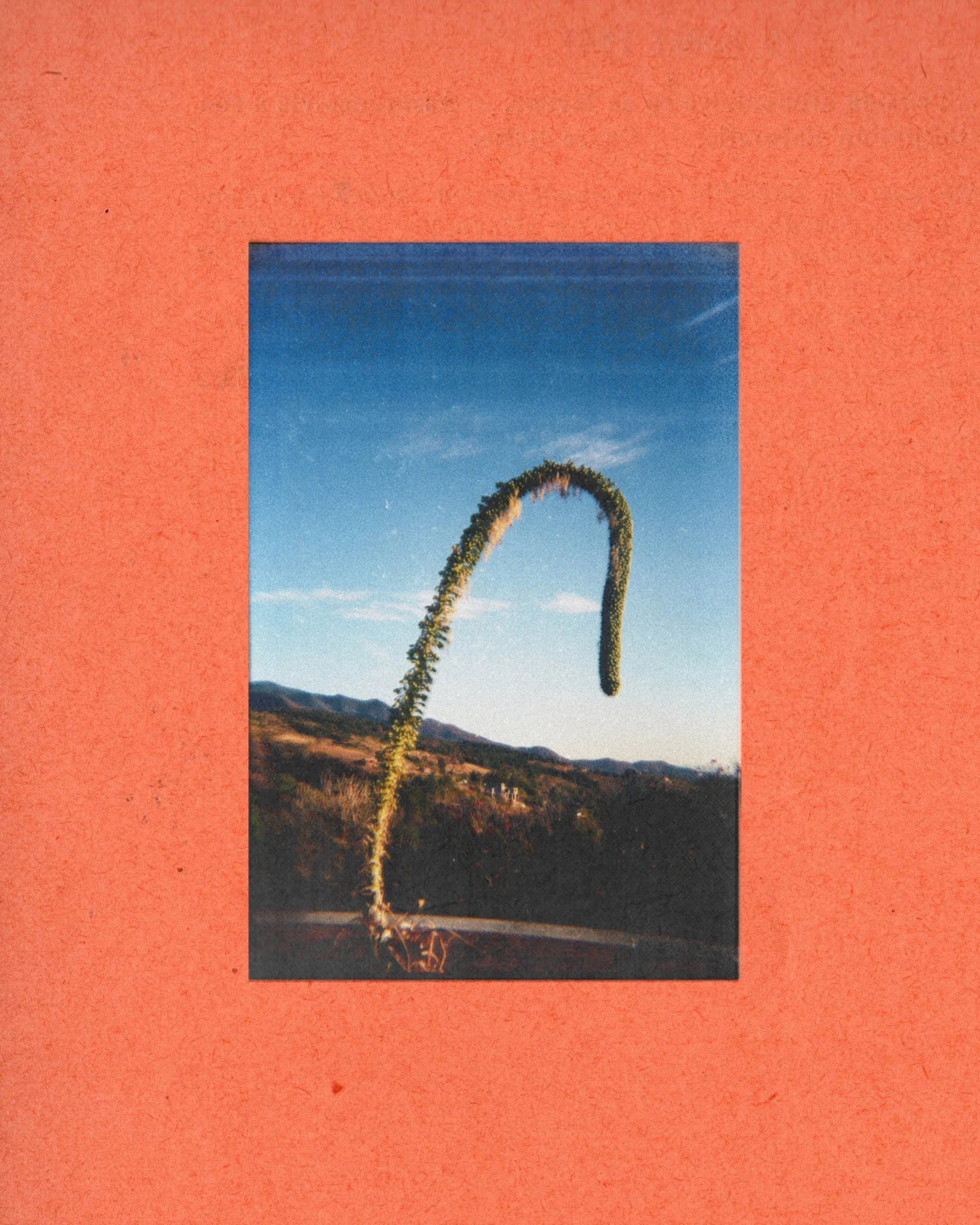 What does happiness mean? What is the emblem of ultimate freedom? Can we even describe it in words or perhaps through photography? Linda Zhengová has been transgressing geographical borders in search of happiness, yet walking the thin line between sa