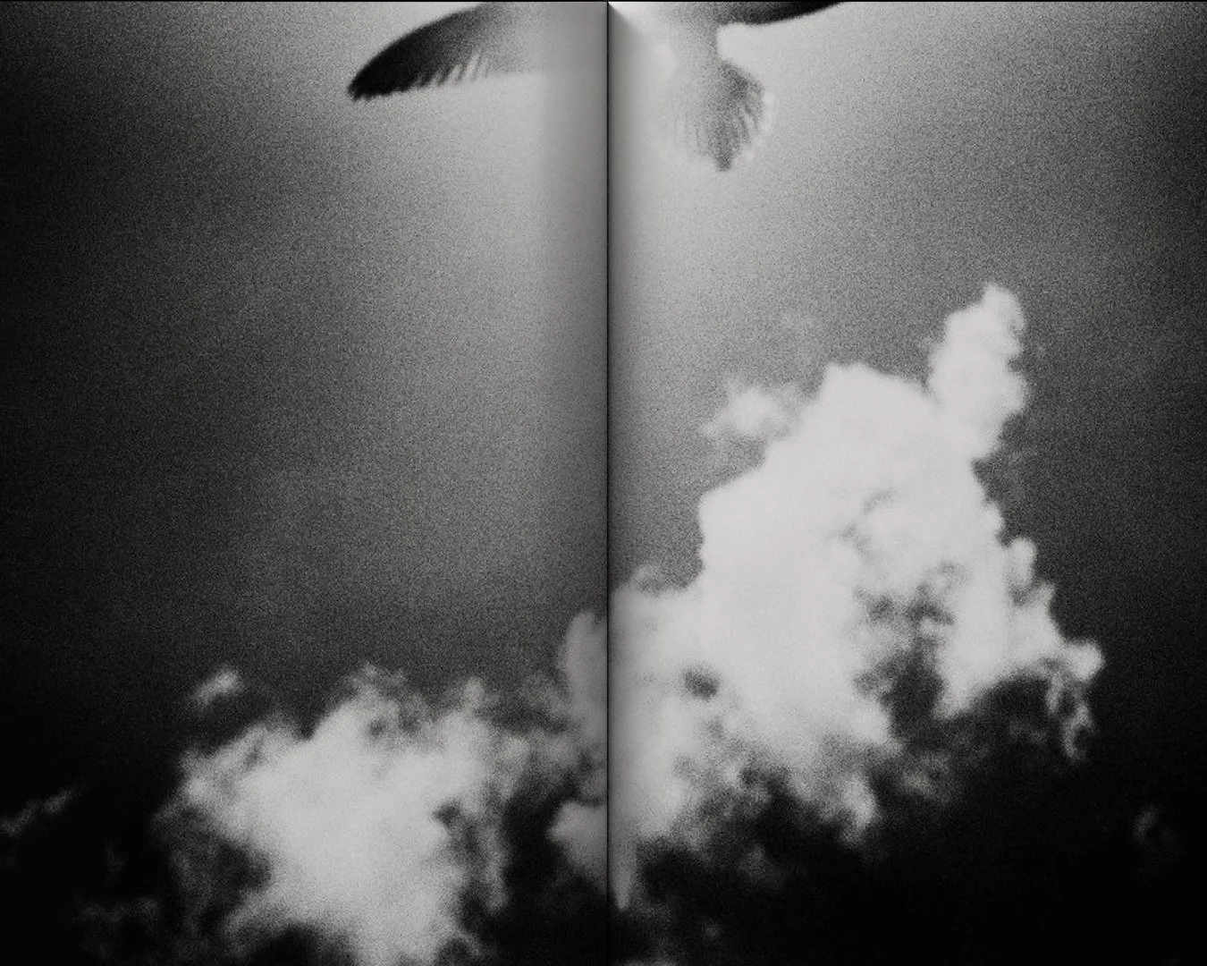 KUPA PITI_IG_MockupOpenBook11.jpg