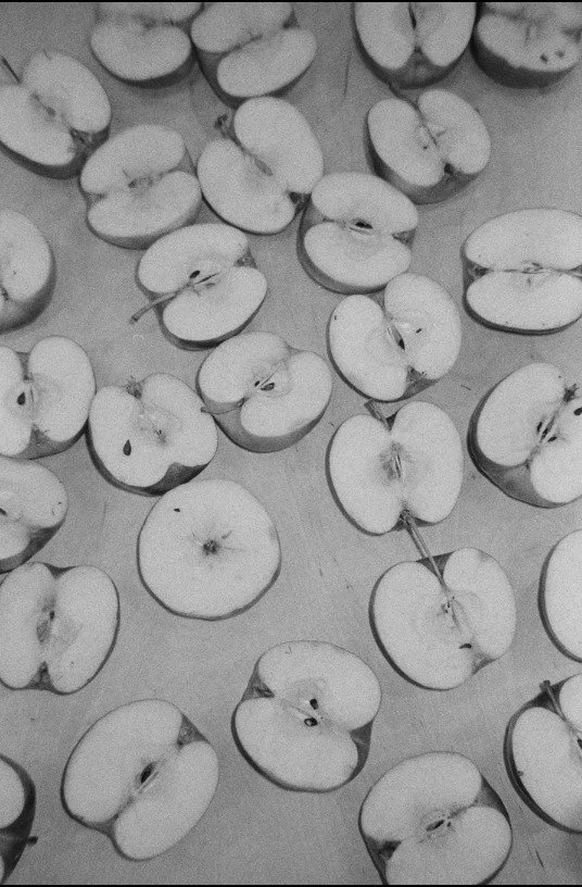 The gallery presents the work of Viktoriia Tymonova, curated by Lucie Černá for Fresh Eyes 2026. Tymonova sensitively connects a conceptual visual virtuosity with detailed, meticulous research. The selection offers a deeply felt, intellectual layer o
