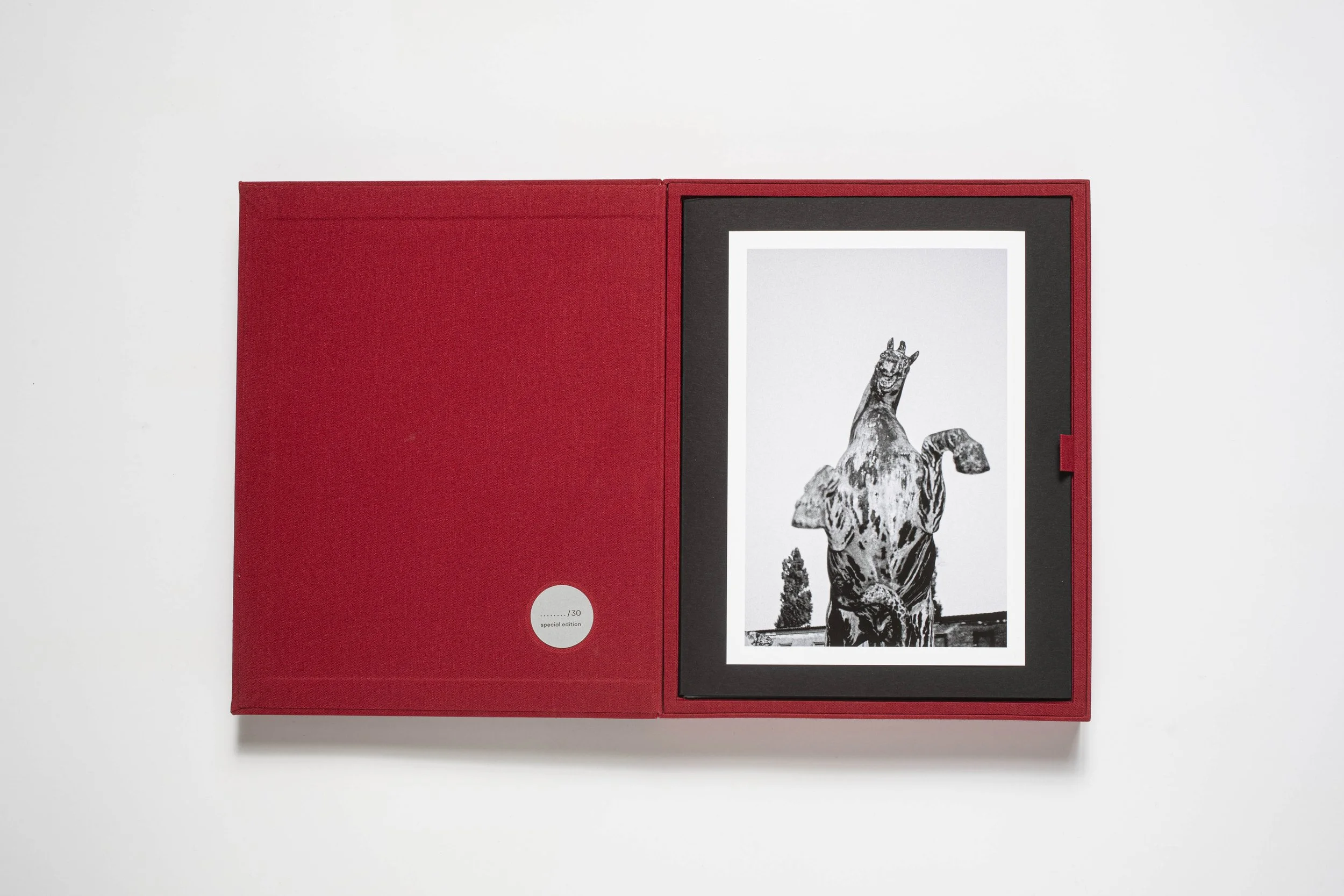 Limited edition of the book Evokativ contains an original photo signed and numbered by Libuše Jarcovjáková. The book itself is also numbered and signed. The book and the photograph are stored in a box covered with red cloth and marked with an embossi