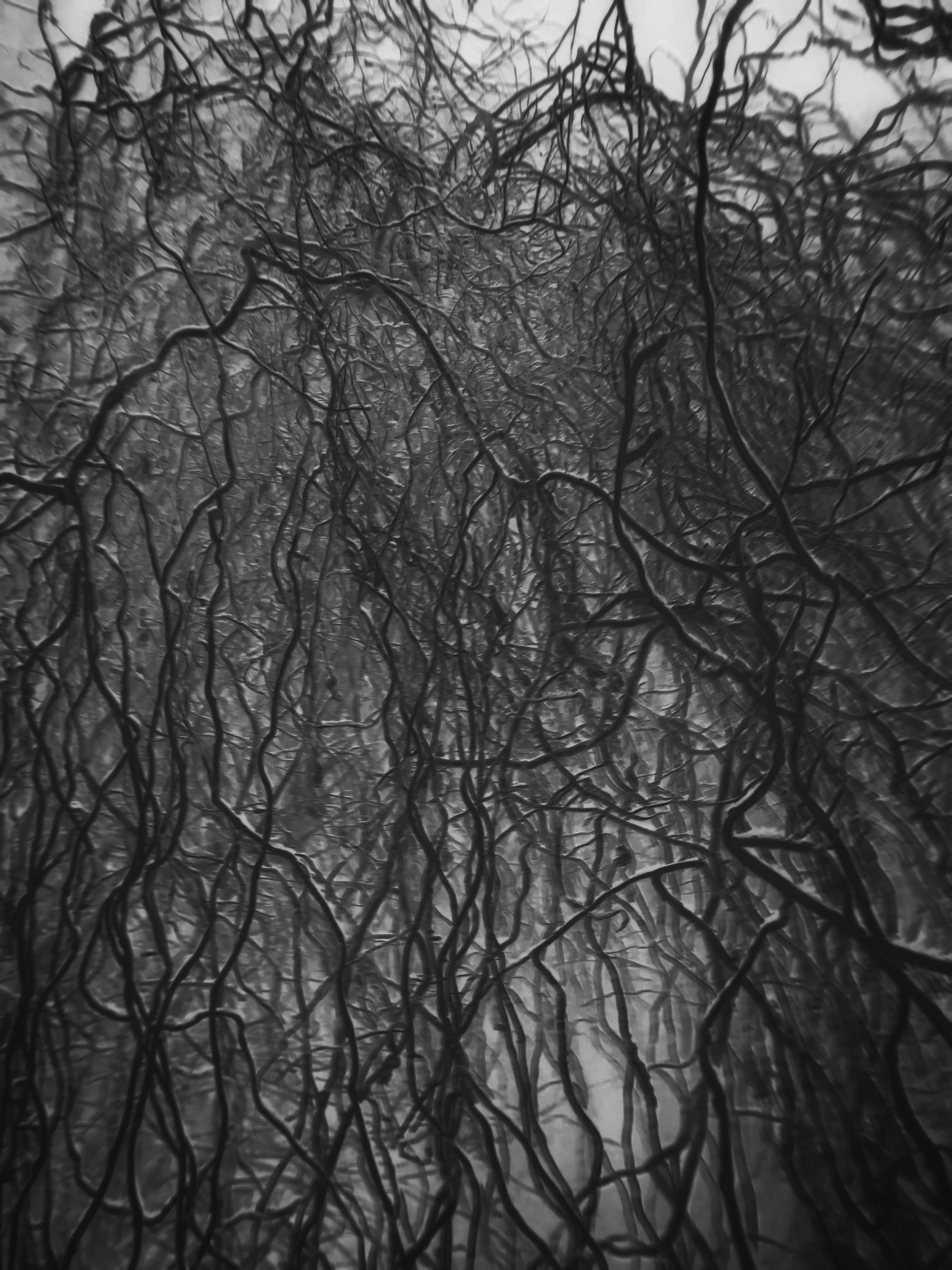 The gallery presents the work of Jakub Pavlík, curated by Lucie Černá for Fresh Eyes 2026. Pavlík’s imagery evokes an intense, buzzing atmosphere where photography serves as a raw artistic statement accentuating our darker side. The selection stimula