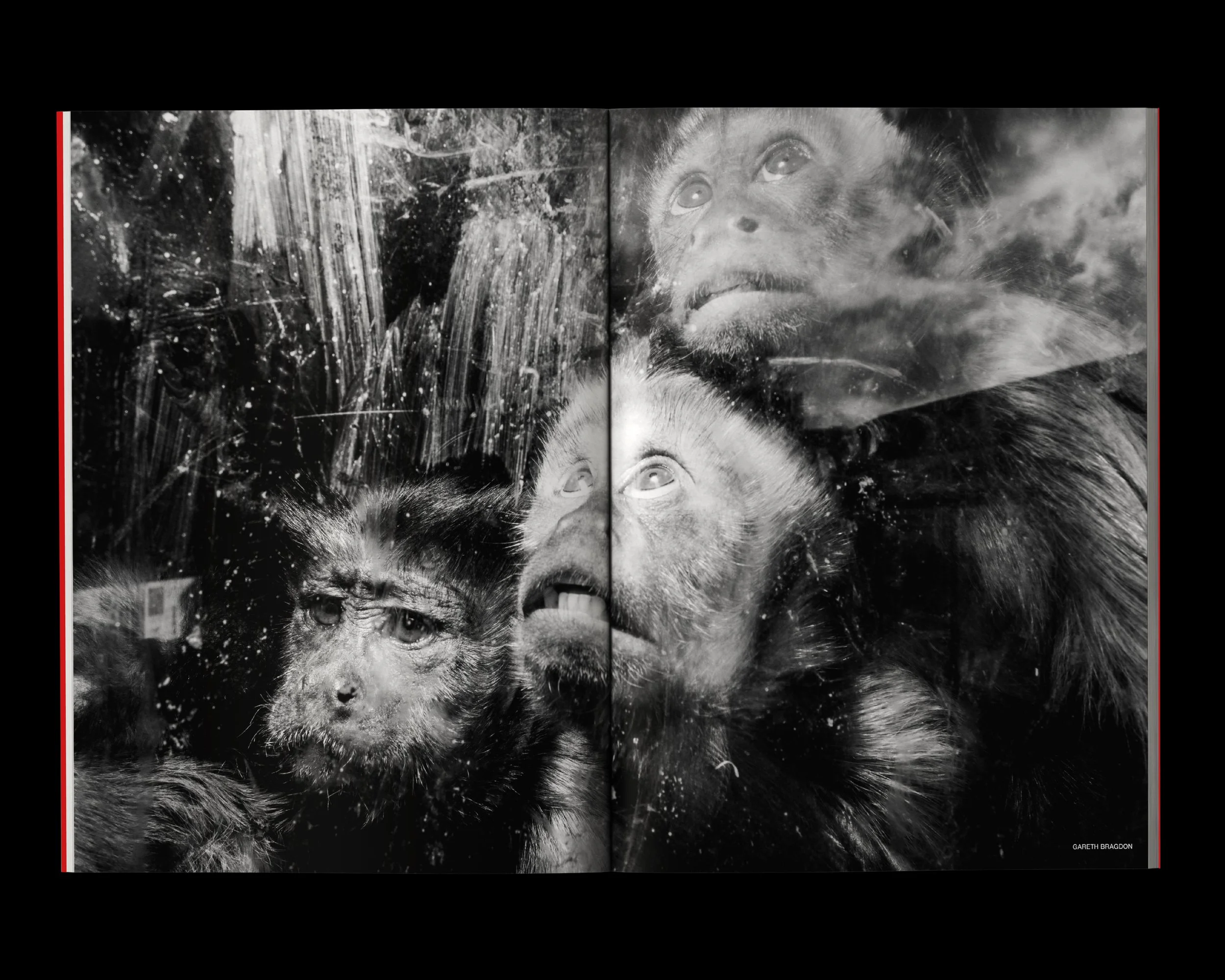 Revoke Zine na.01 FLASH inside spread showing contemporary street and documentary photography