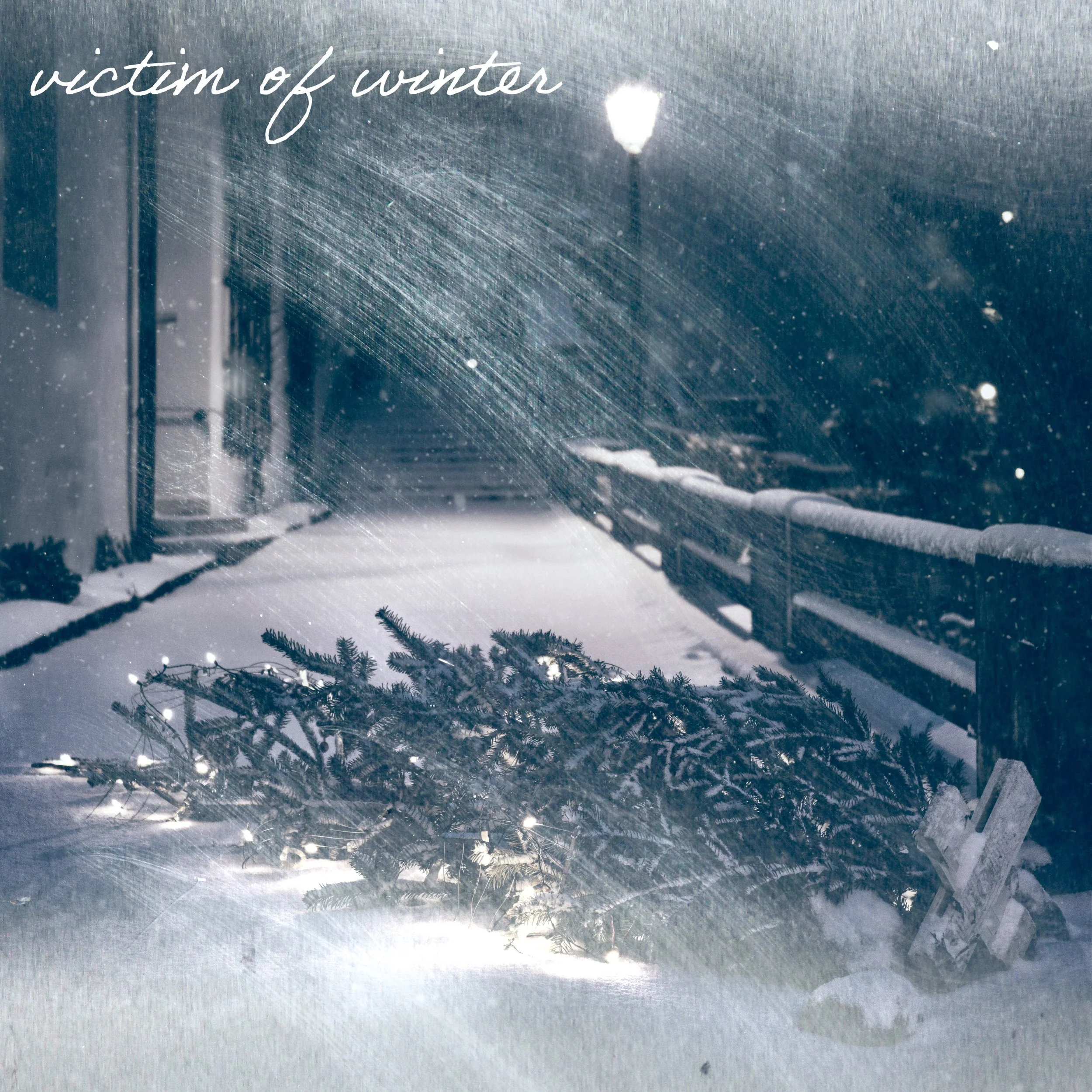 victim of winter.jpg