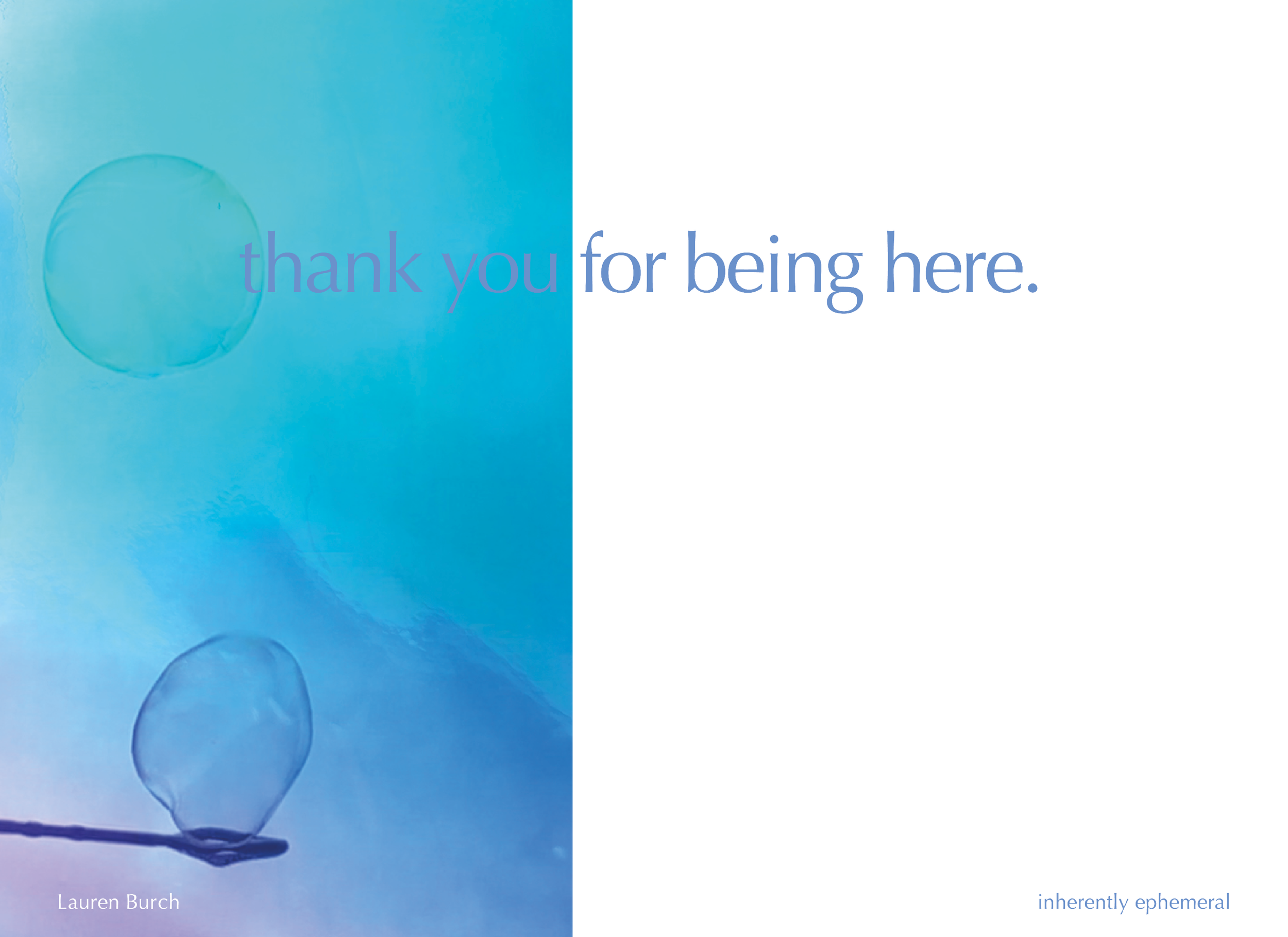 inherently ephemeral branding guidelines p. 15.png