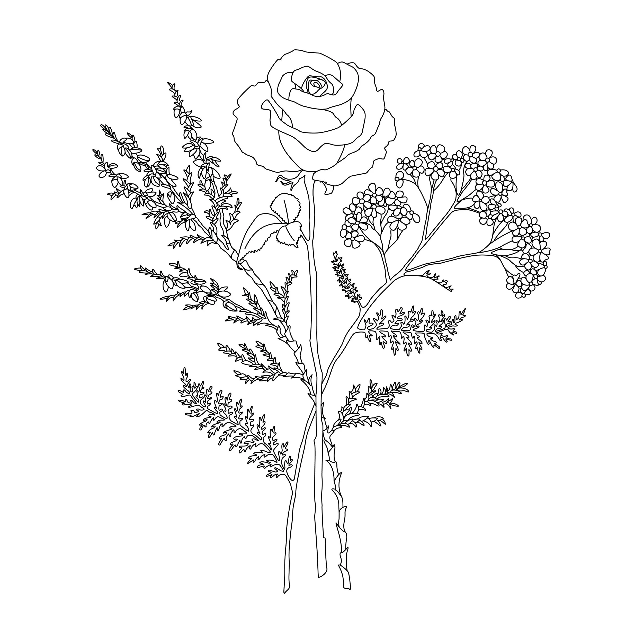 taheetha sacred sprays bundle illustration.jpg