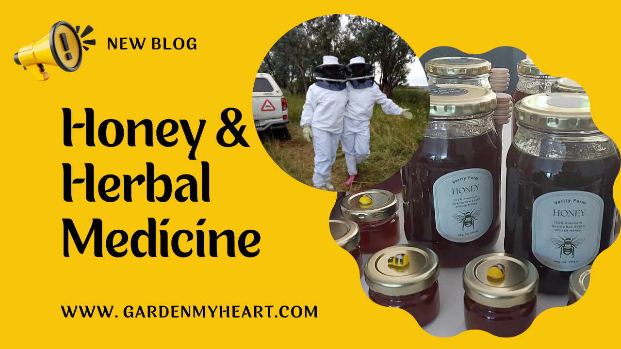 Honey is medicine