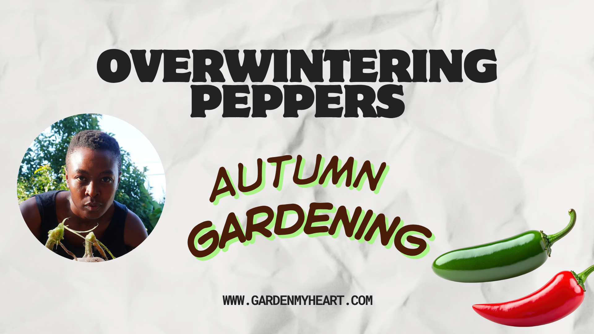 Overwintering peppers- trailer.png