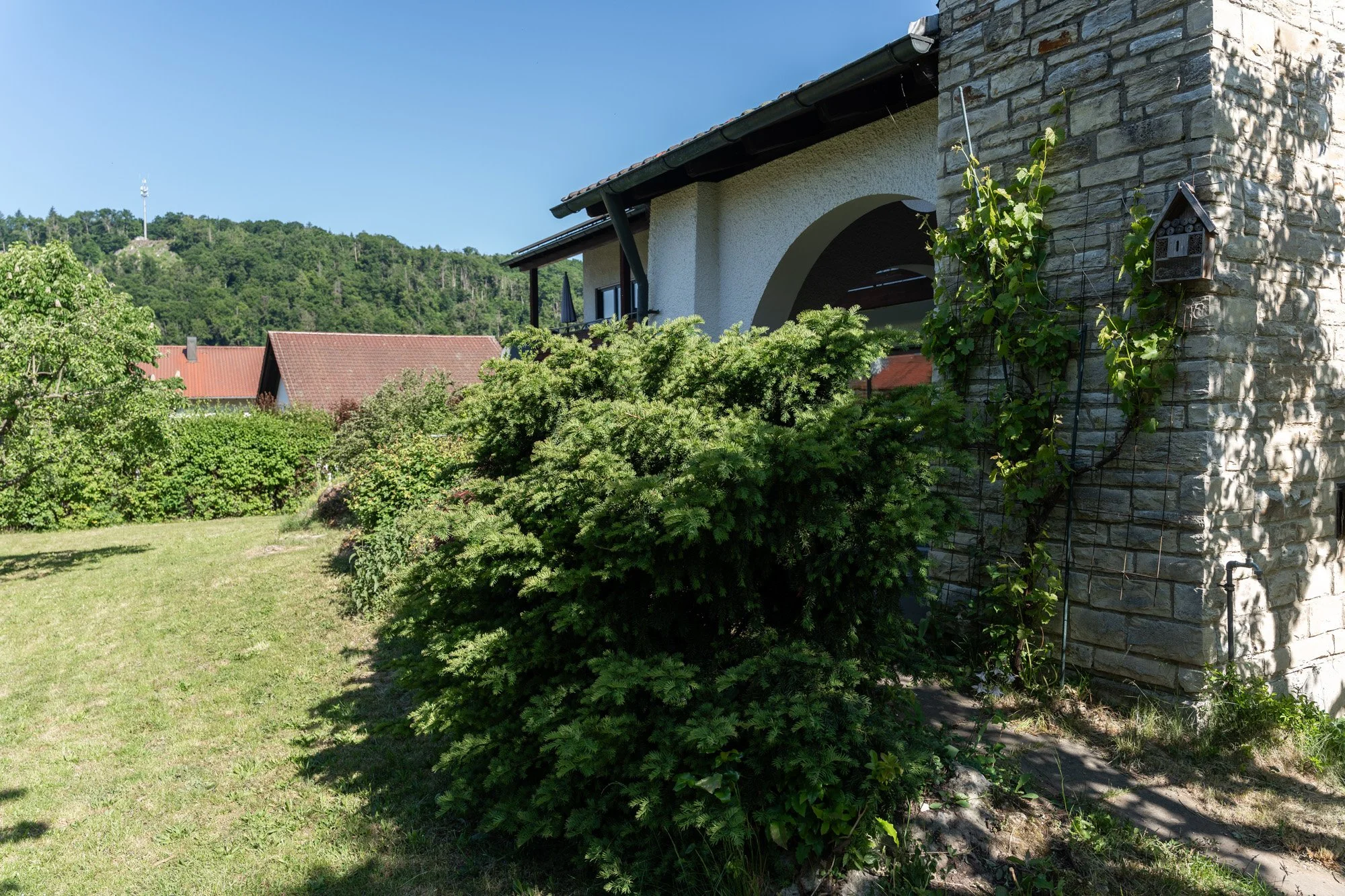 Ein Garten mit grünem Gebüsch, Bäumen, einem Haus mit weißer Fassade und Steinmauer, im Hintergrund Hügel mit Bäumen und einem Fernsehturm.