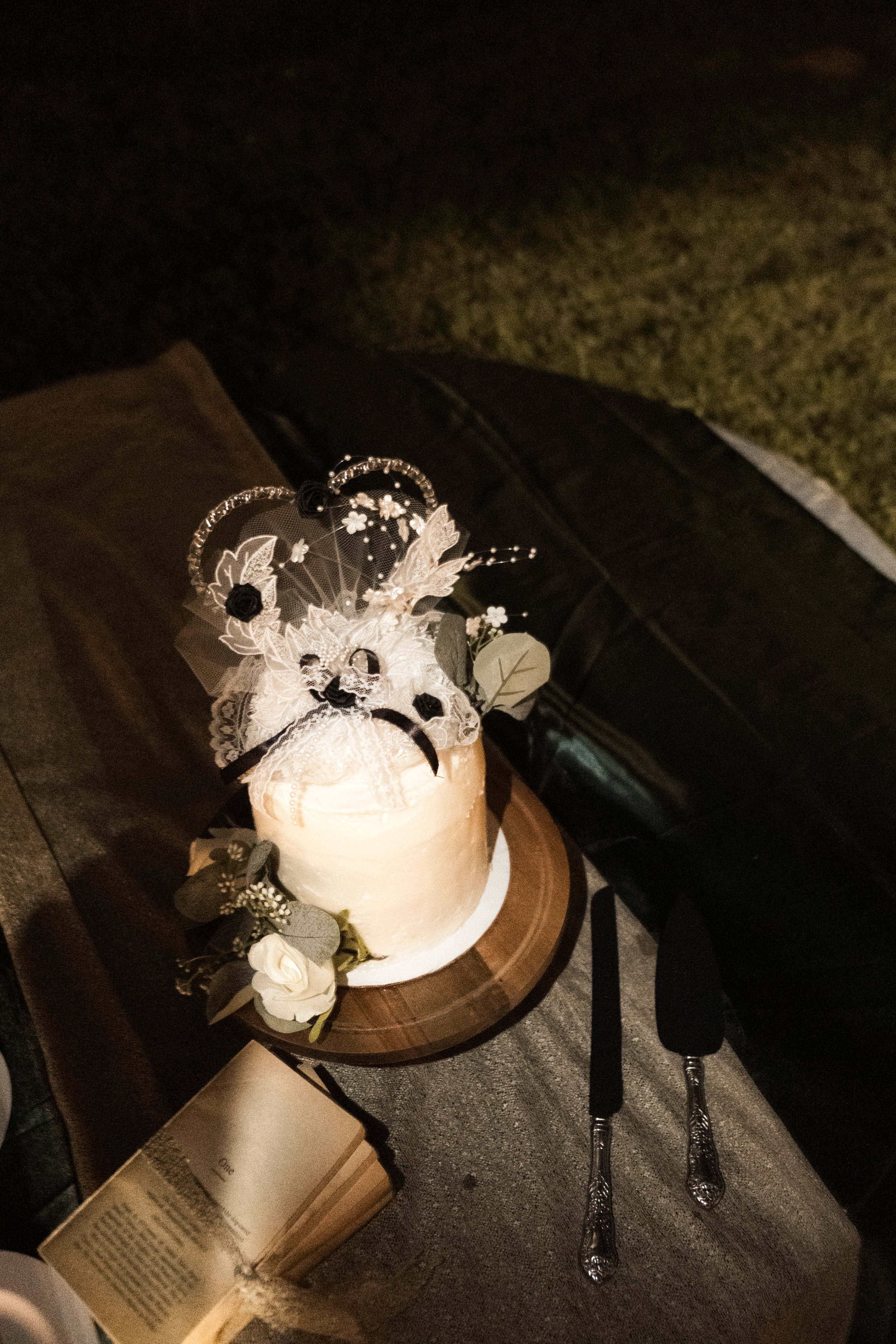 DSCF2541.jpg