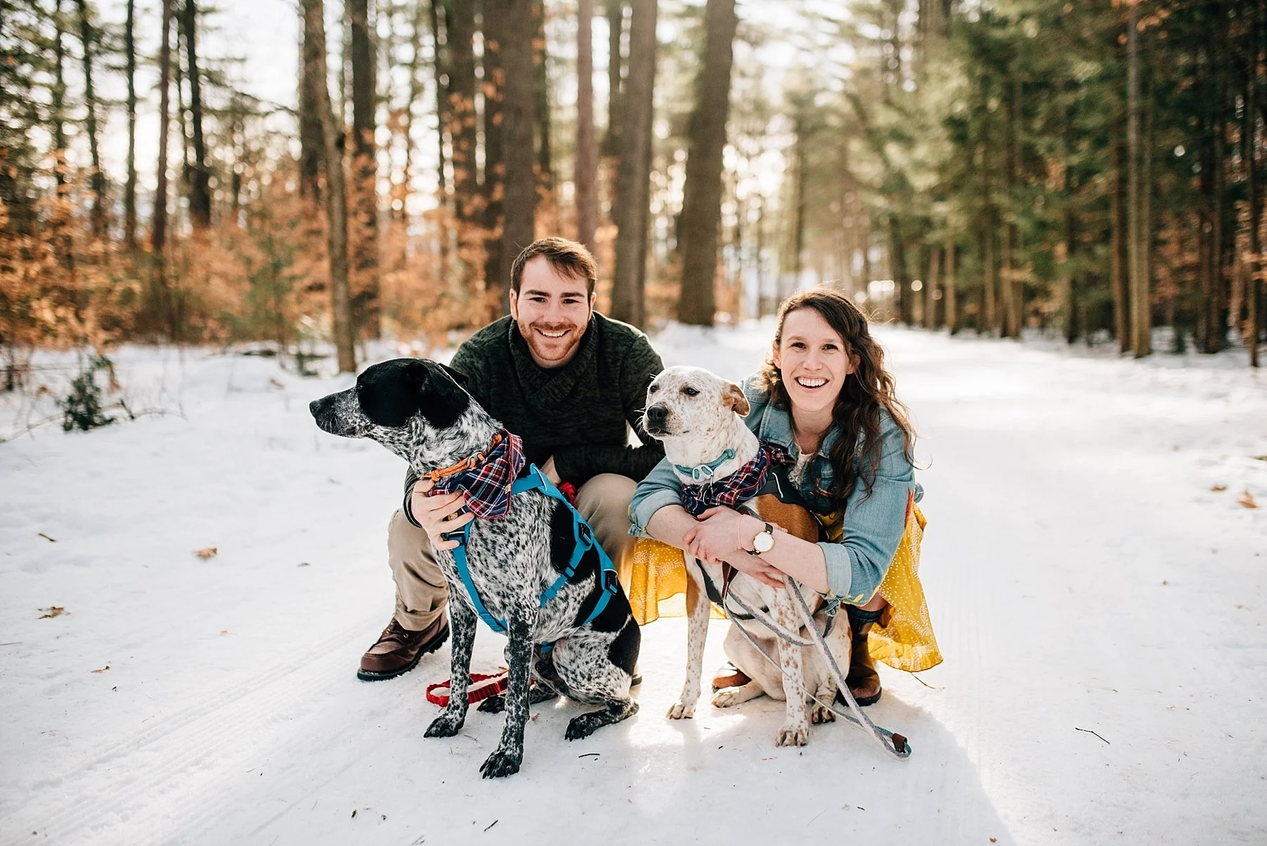 Welcoming Benny - North Conway NH