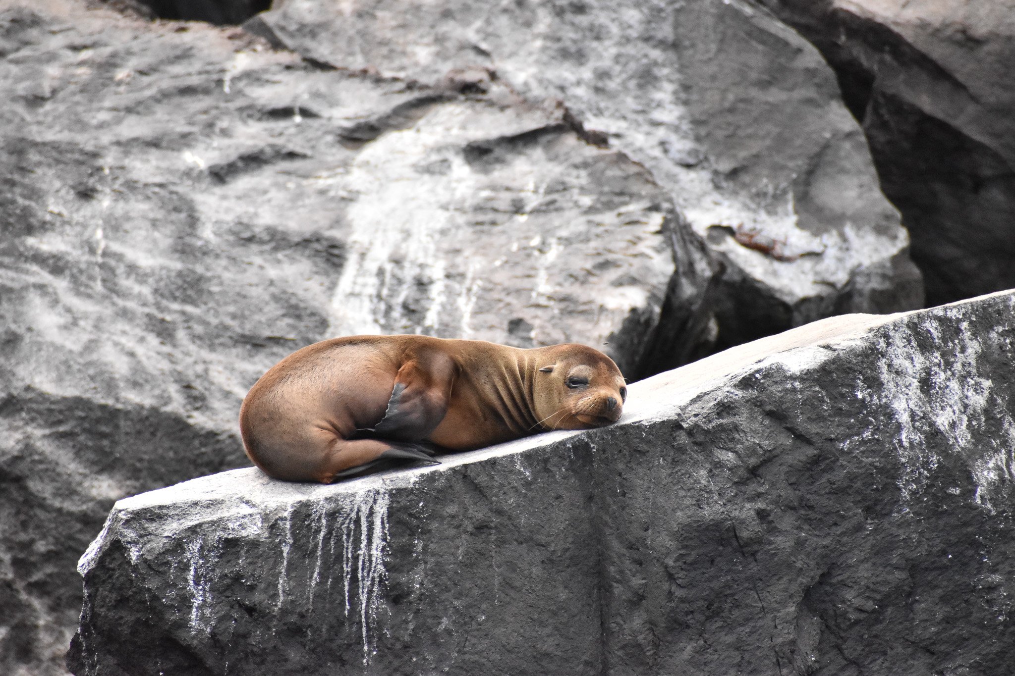 DSC_0746.jpg