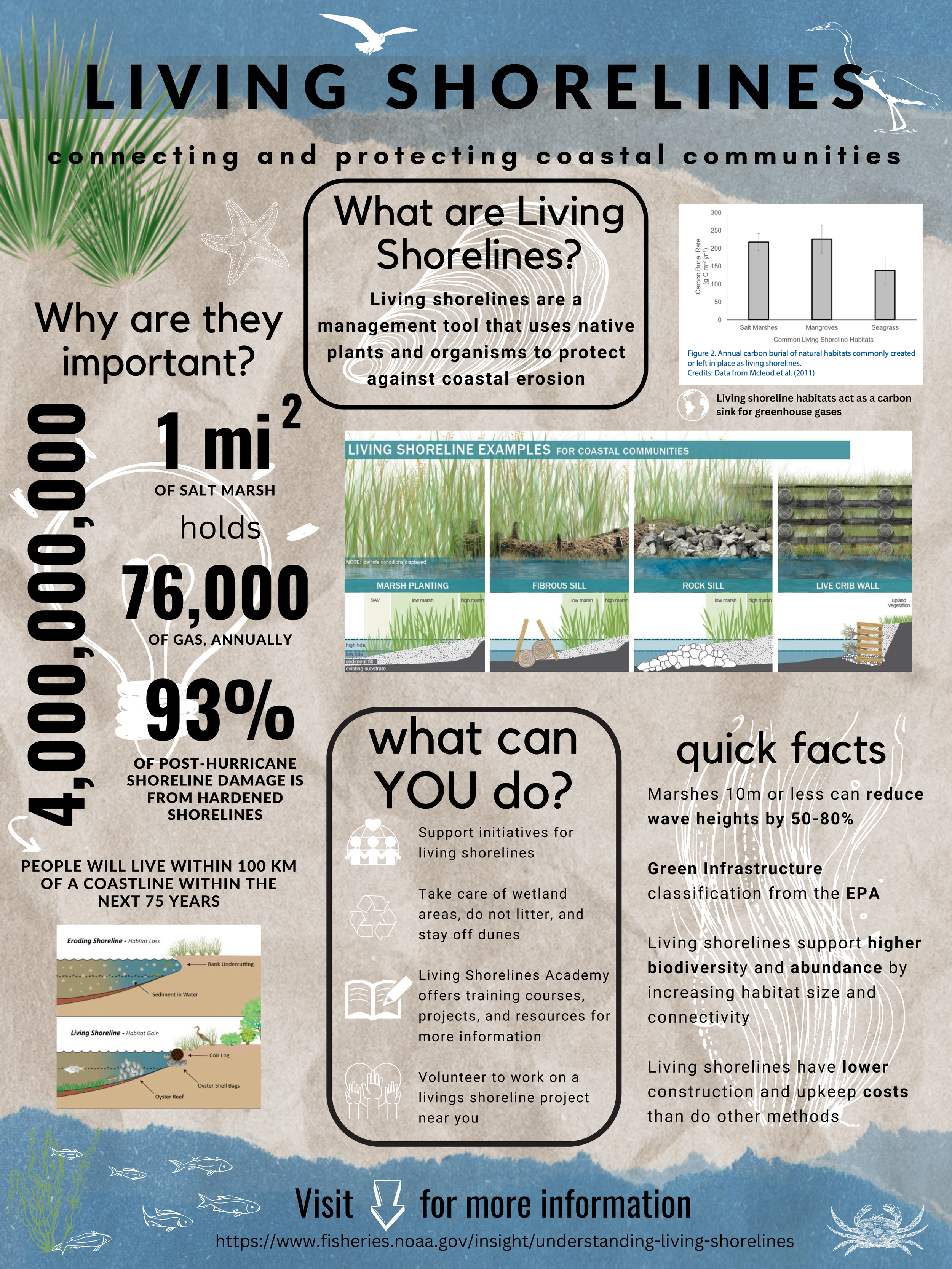 LivingShorelines-Irvin copy.png