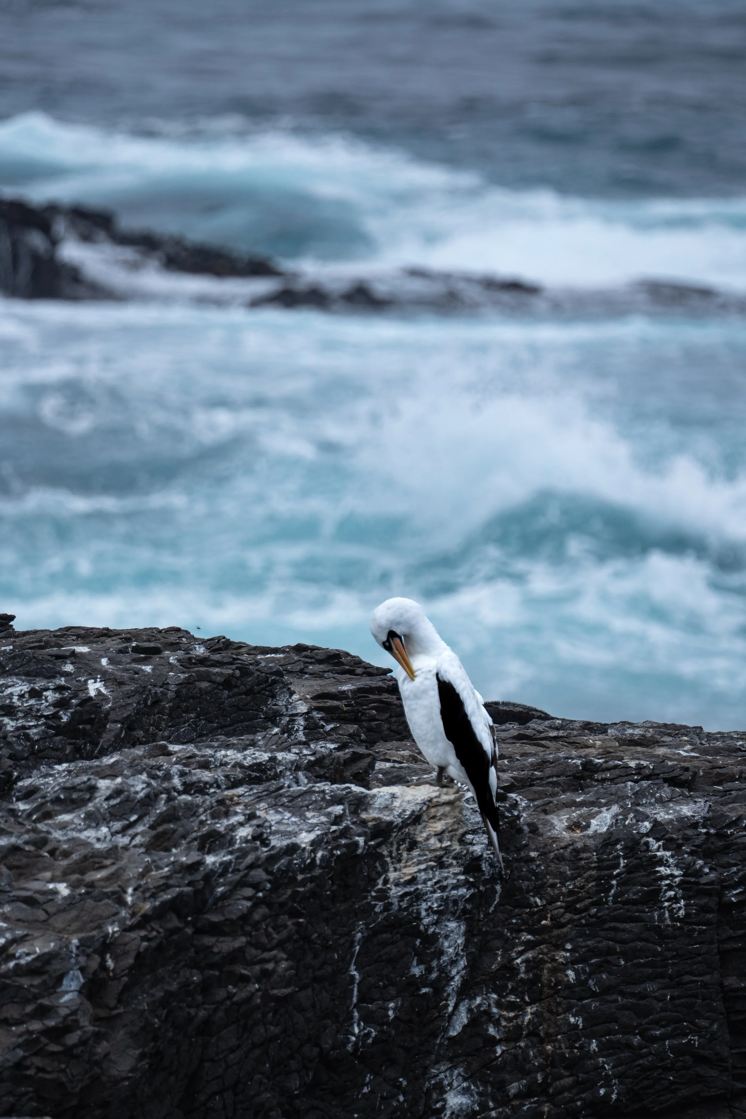 Calm Before the Storm