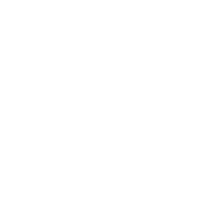 Outline drawing of a smartphone with a large screen and a circular home button at the bottom.
