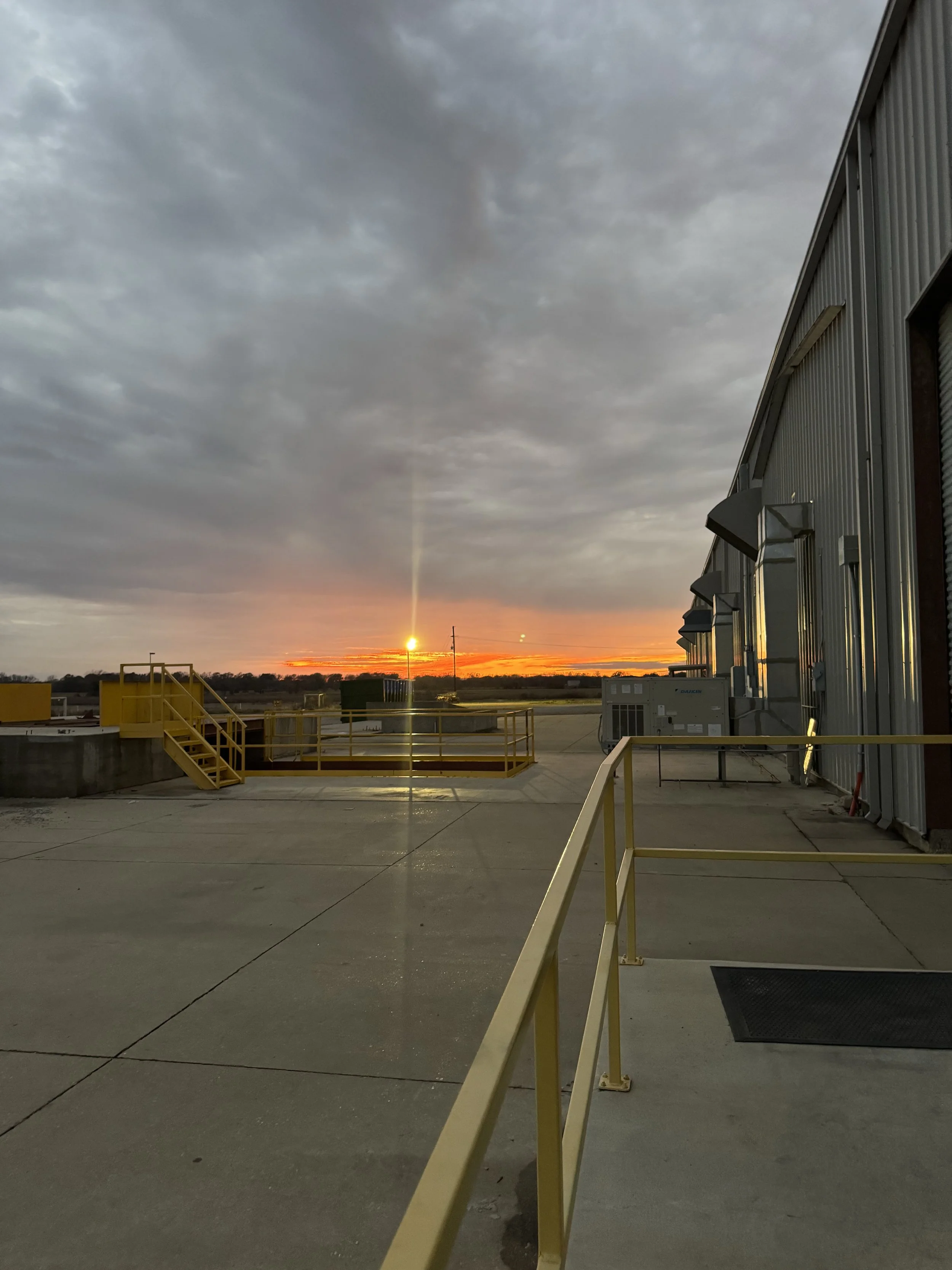Outside shot of plant with orange sunset