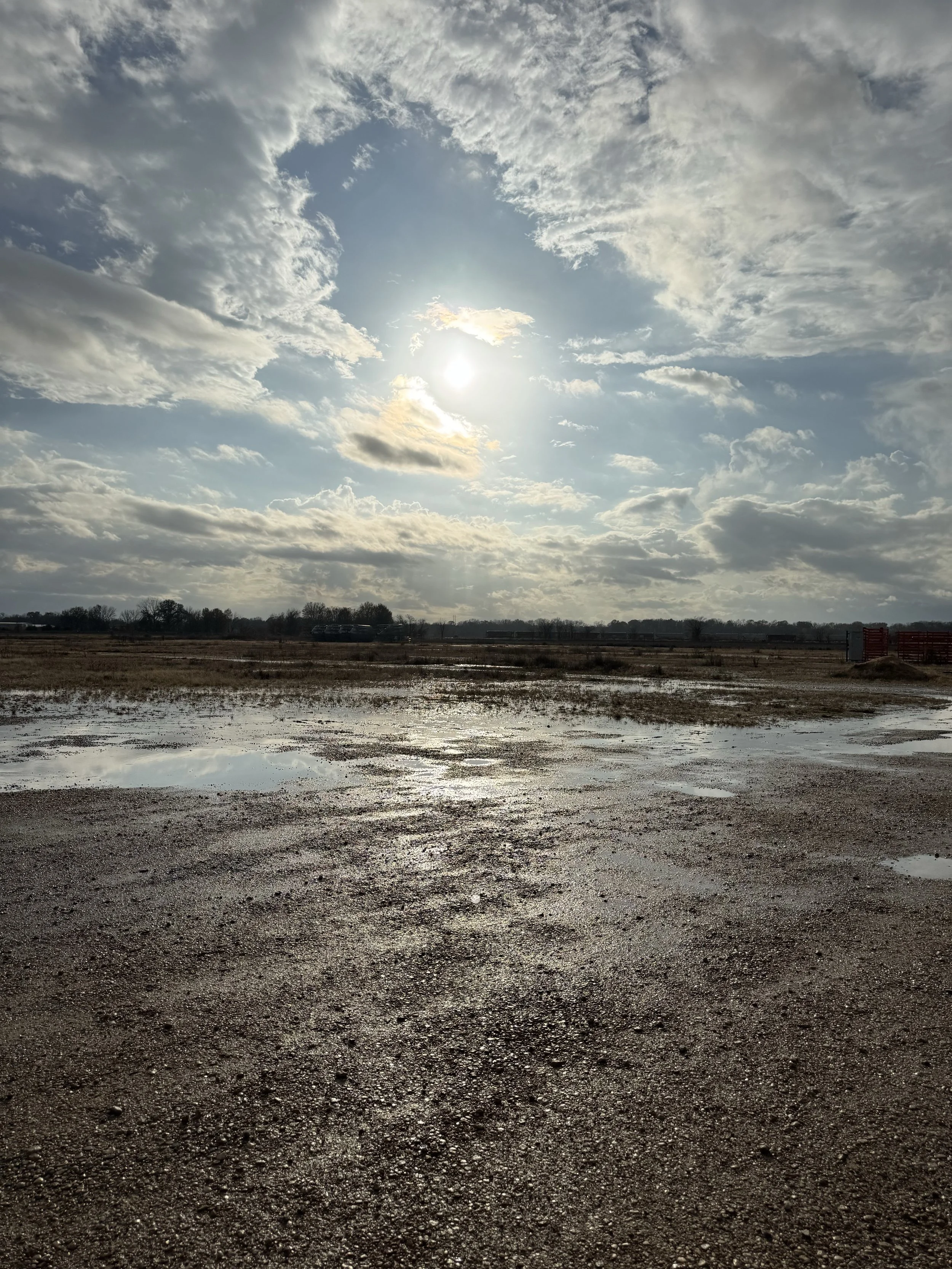 Mississippi Delta after a thunderstorm sunbursts and reflective puddles with vast clouds in the sky