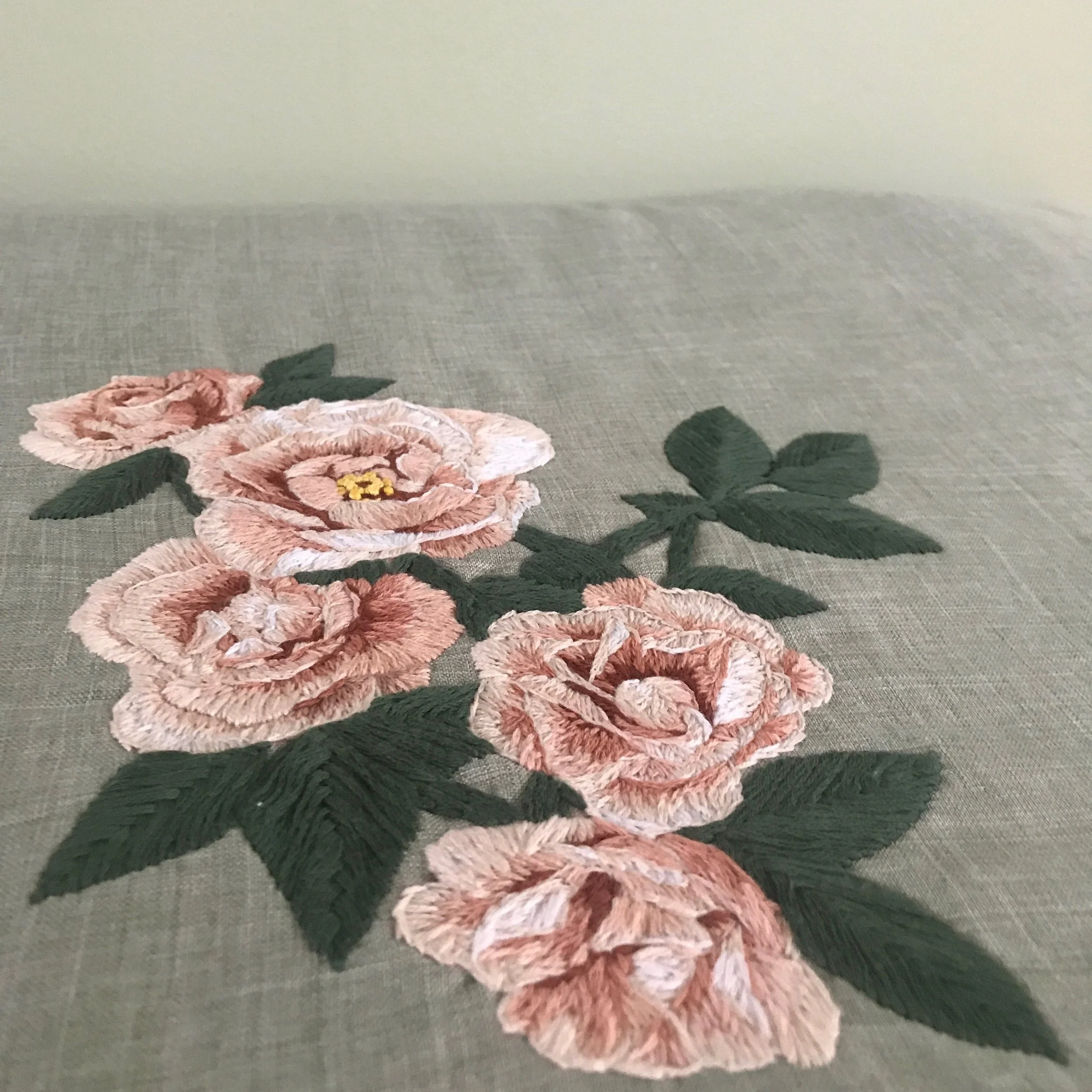 A study of roses- Detail shot