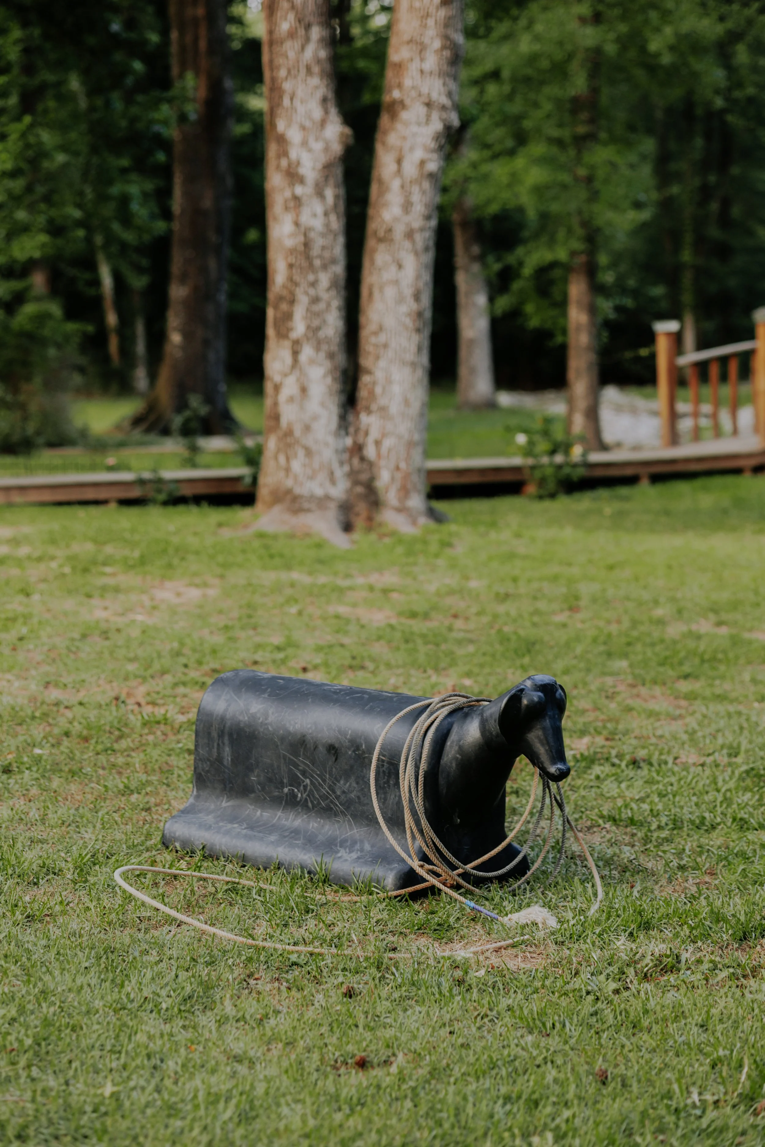 SBP_2891.jpg