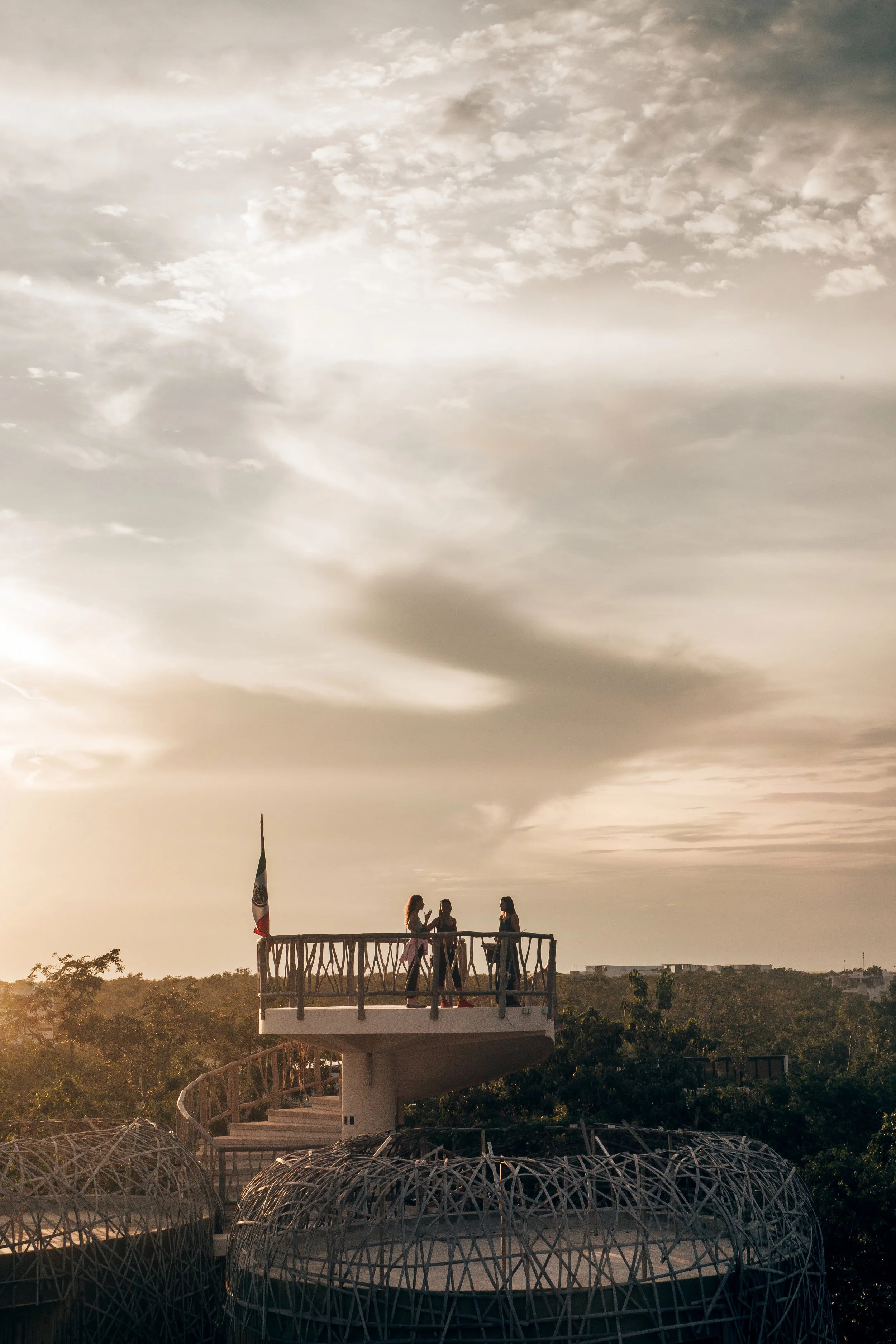 The Biology of Beauty