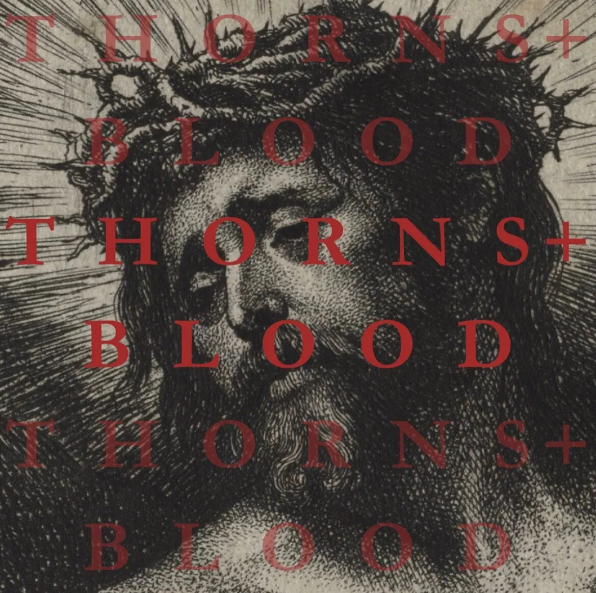 T H O R N S + B L O O D film festival.
Visit www.thornsbloodfilmfestival.org or link in bio. 🩸✝️☦️

Stay tuned. 

#jesus #jesuschrist #film #filmfestival #christian #catholic #cinema #crownofthorns #preciousblood #catholiclife #catholicart #filmmake