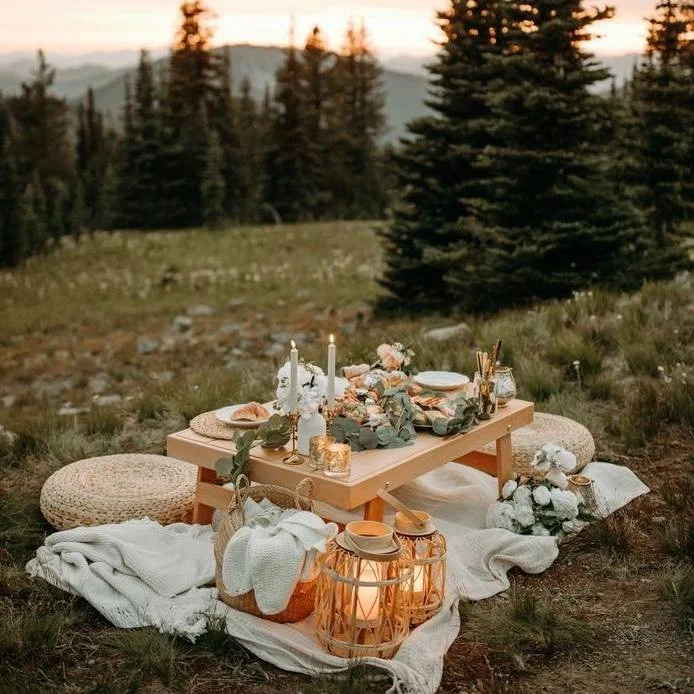 Proposal Picnic in the Mountains 
