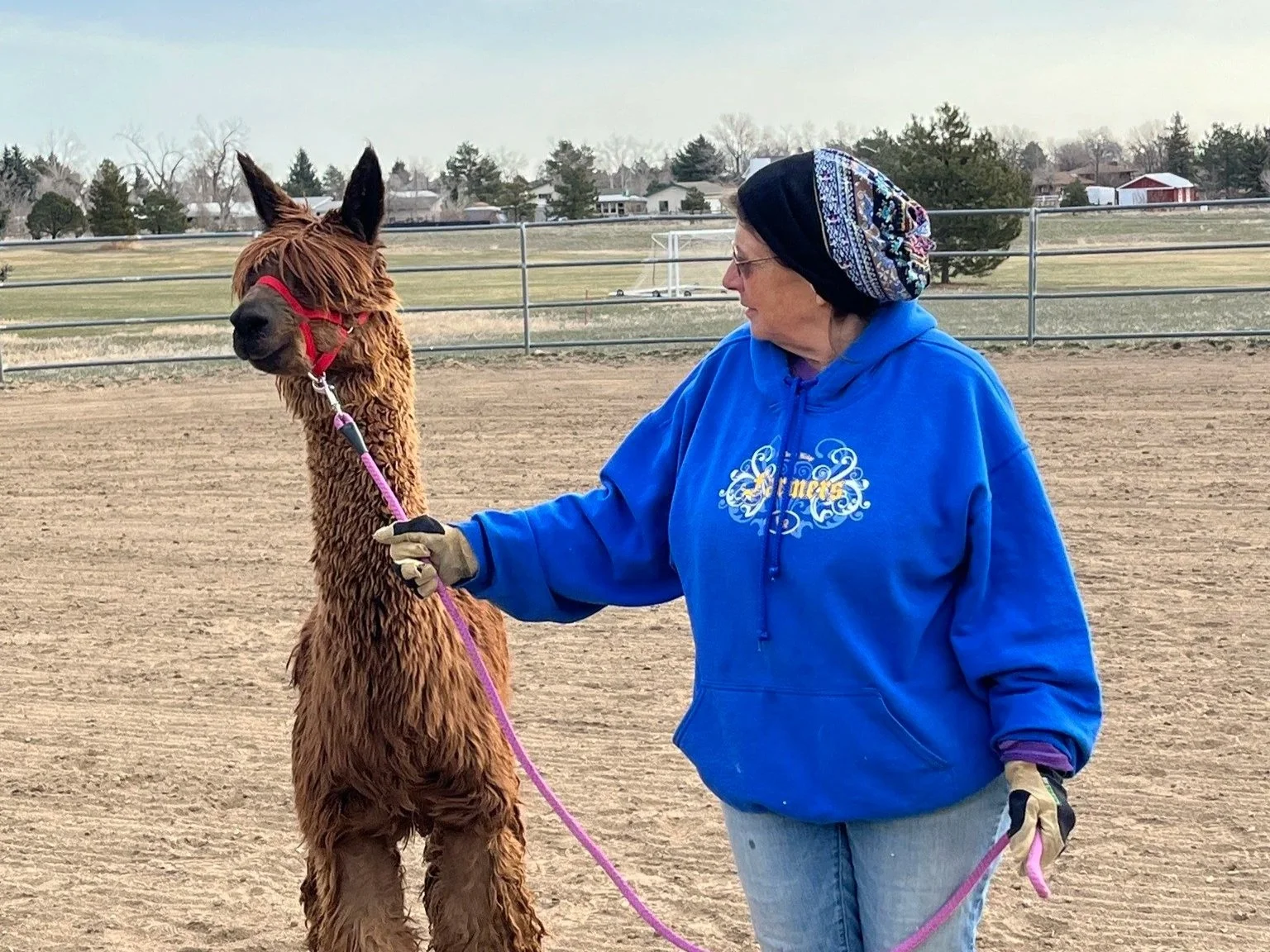 EET Alpaca handling training - April, 2023