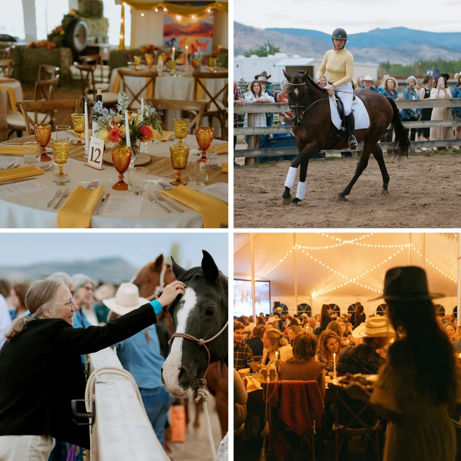 Colorado Horse Rescue - Mane Event at the Ranch