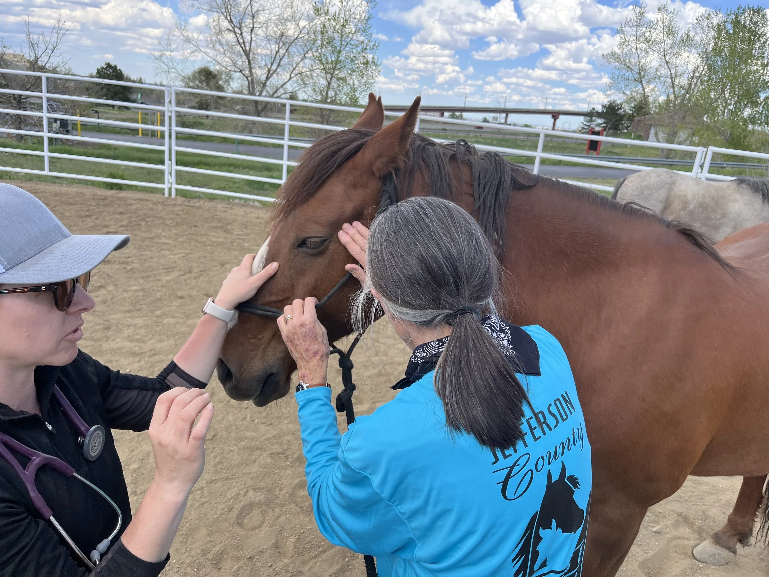 EET BULL Training with Code 3 Associates - May, 2025